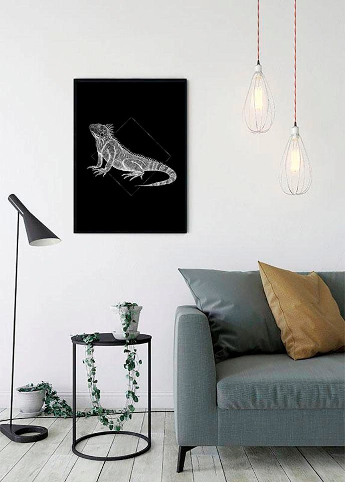 Komar Bild »Iguana Black« Tiere 1 Stk. tlg. Wandbild zur Dekoration - ohne Rahmen