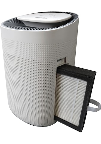 HEPA-Filter »für Luftentfeuchter »Simple««