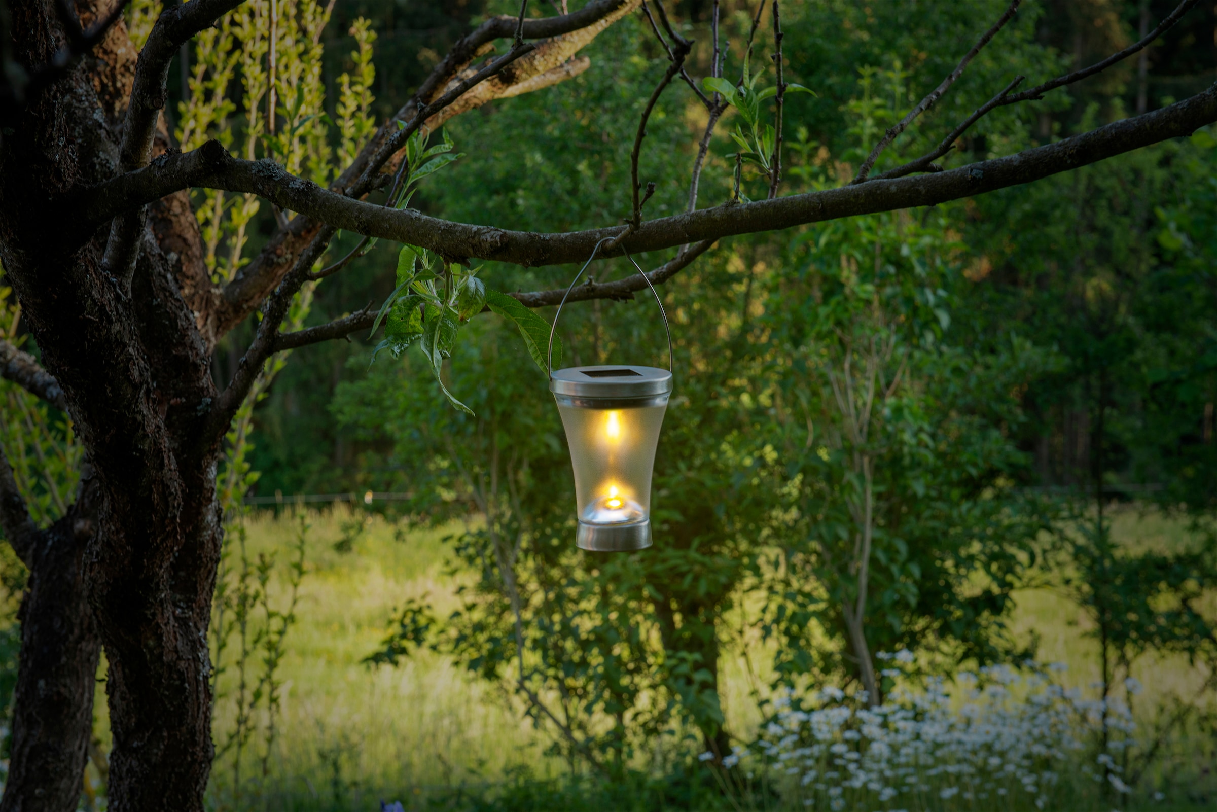 näve LED Solarleuchte »Veronica«, 1 flammig