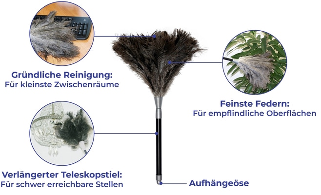 Maximex Staubwedel »Straußenfeder Staub-Magnet«, Staubbesen mit 100% echten Straußenfedern, ausziehbarer Teleskopstiel