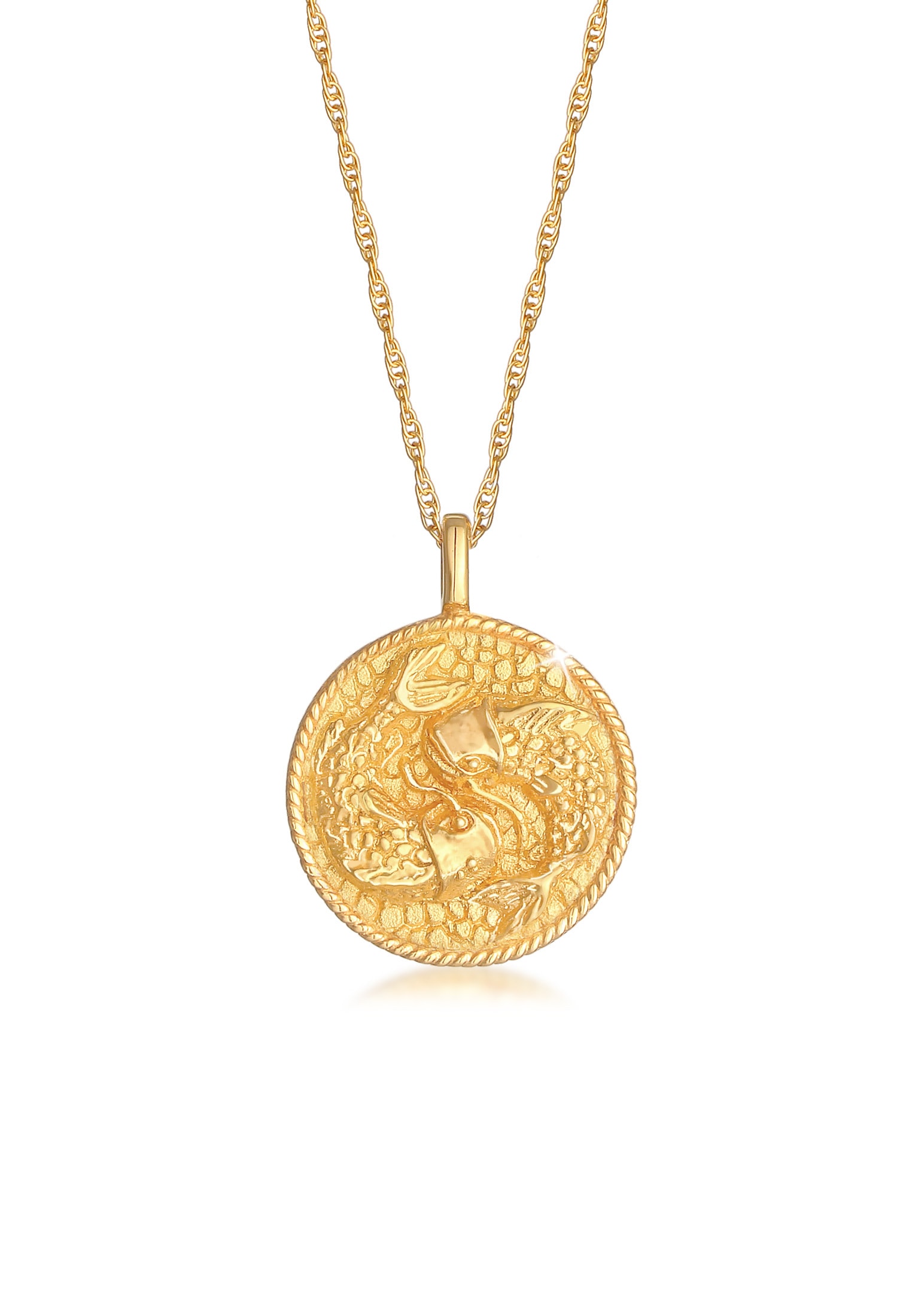 Elli Kette mit Anhänger »Halskette Sternzeichen Fisch Zodiac Astro Münze 925 Silber«