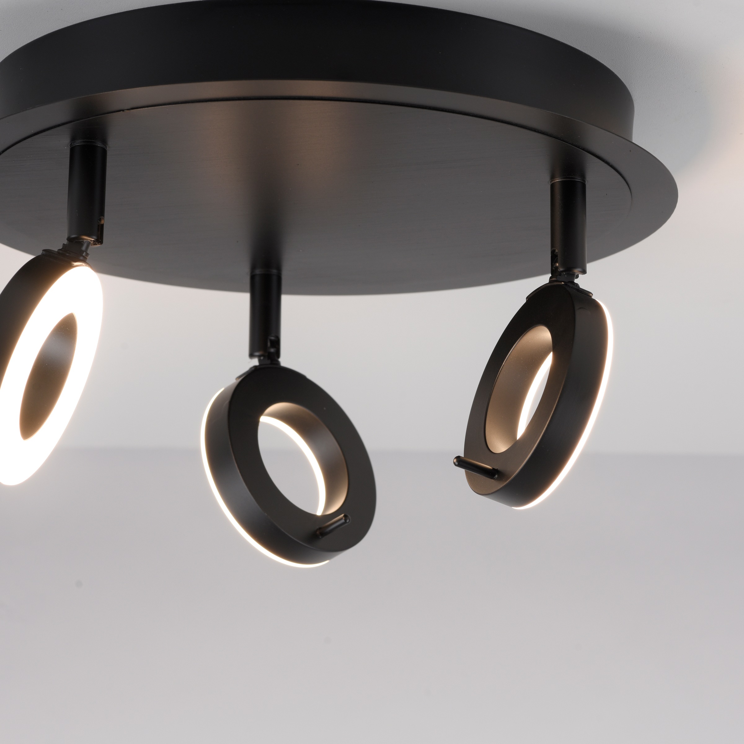 Paul Neuhaus Deckenleuchte »SILEDA«, 3 flammig, Leuchtmittel LED-Board | LED fest integriert, LED, IP44