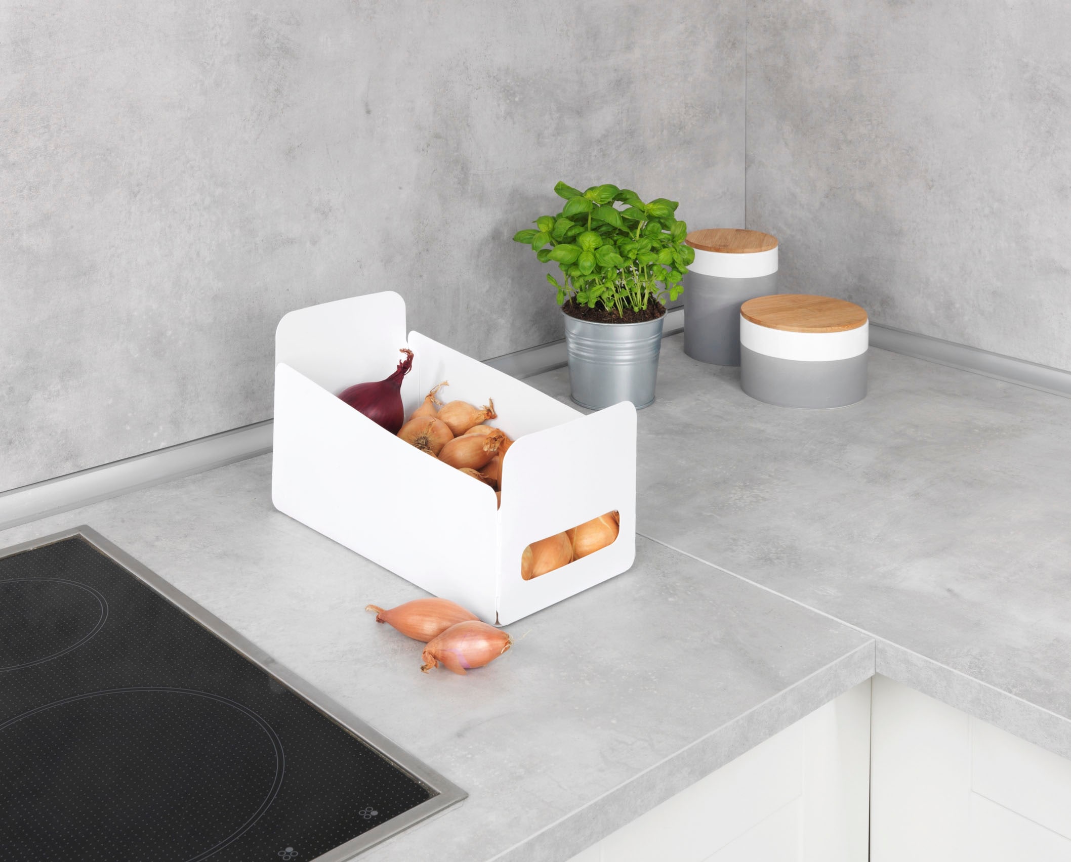 WENKO Organizer »Universal«, (Set, 6 St.), Aufbewahrungsboxen für Küche und Haushalt, faltbar, Kunststoff