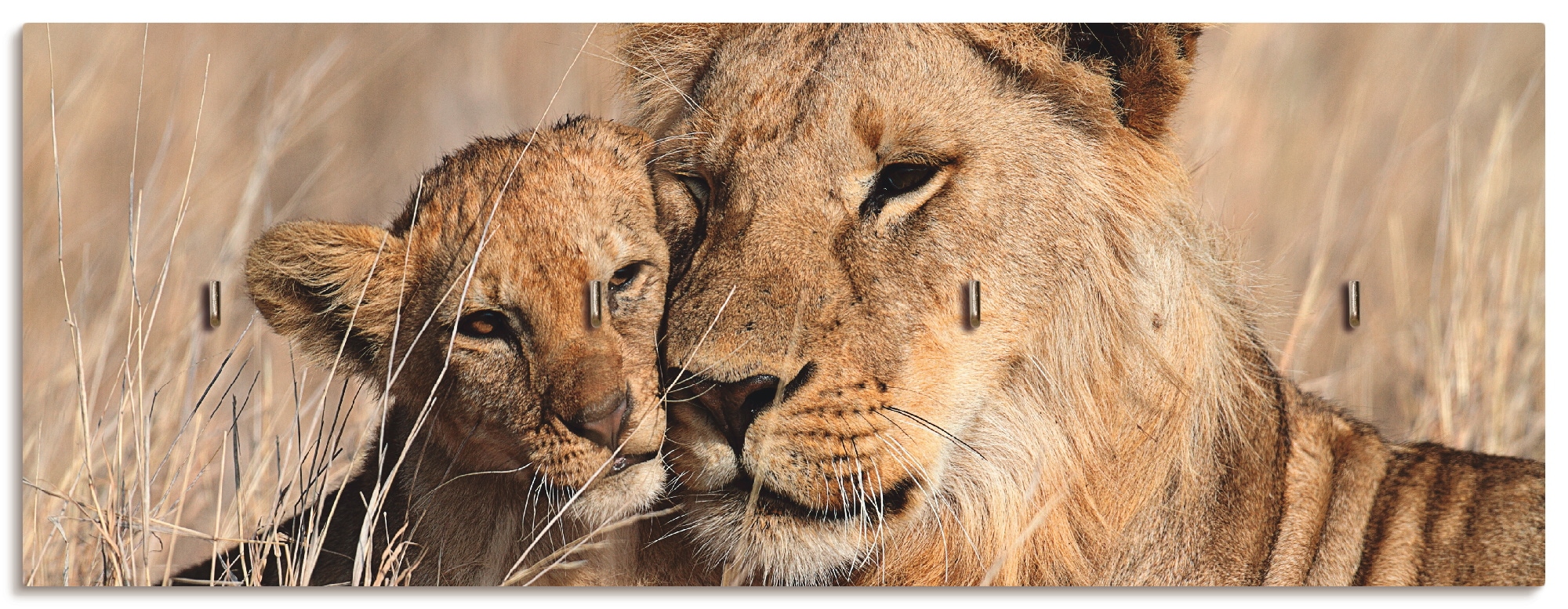 Artland Hakenleiste »Großer Löwenbruder«, MDF