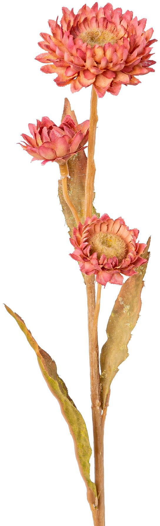 Creativ green Kunstblume »Strohblume«