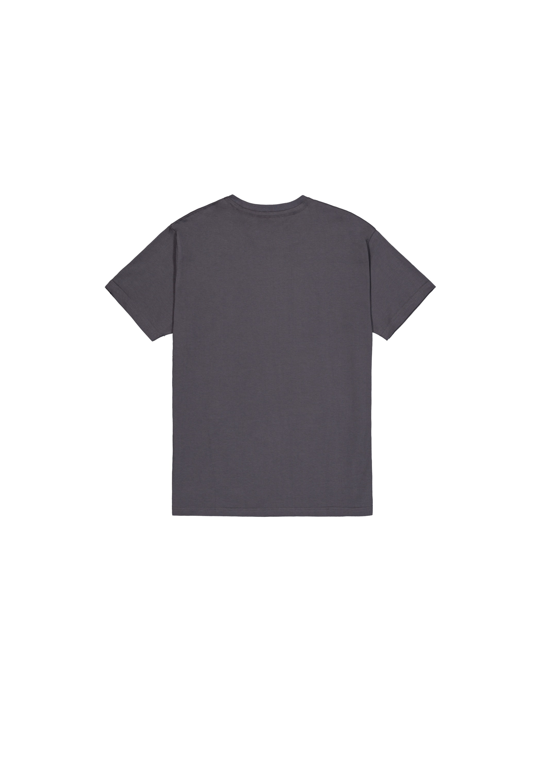 Alpha Industries T-Shirt »Satin Logo T-Shirt«
