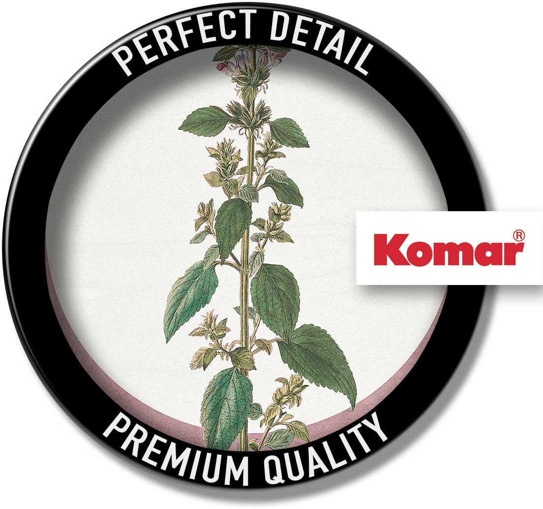 Komar Bild »Menthe en Croissance«, Natur, (1 St.), Wandbild zur Dekoration - ohne Rahmen