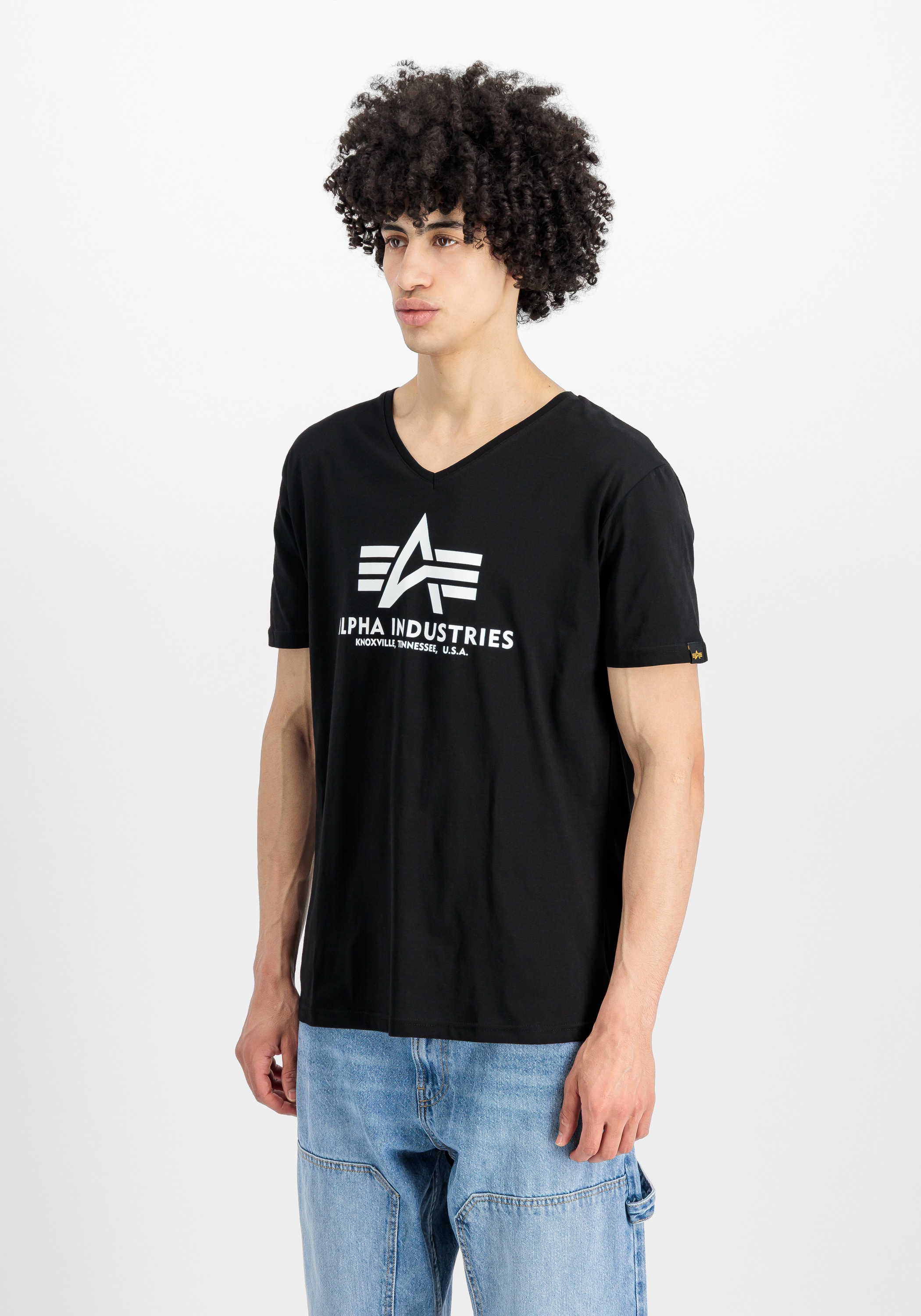 Alpha Industries T-Shirt »Basic T-Shirt BL V-Neck«