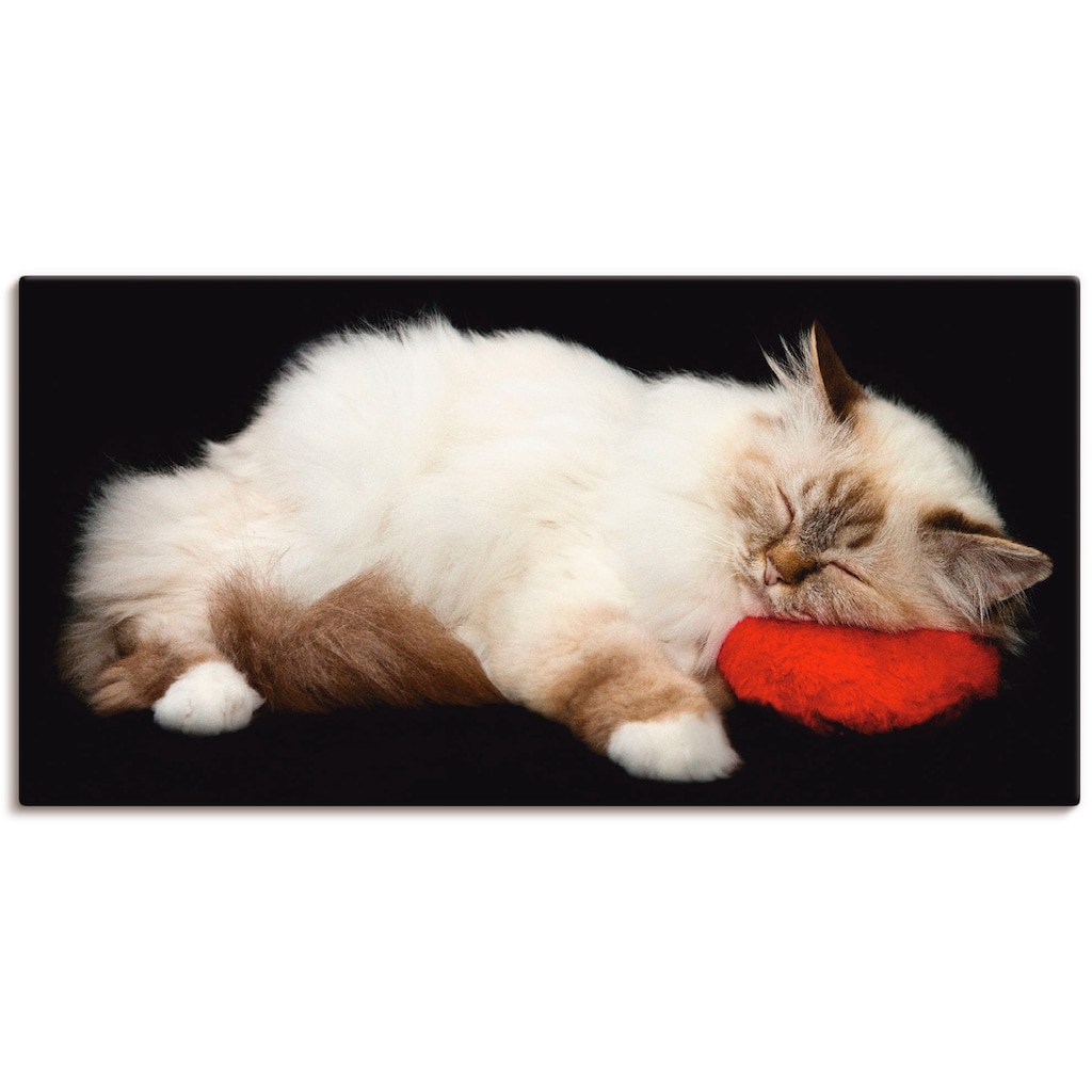 Artland Wandbild »Müde Katze«, Haustiere, (1 St.), als Leinwandbild, Poster, Wandaufkleber in verschied. Größen