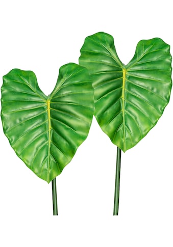Creativ green Kunstzweig »Philodendronblatt«, (2 St.) kaufen