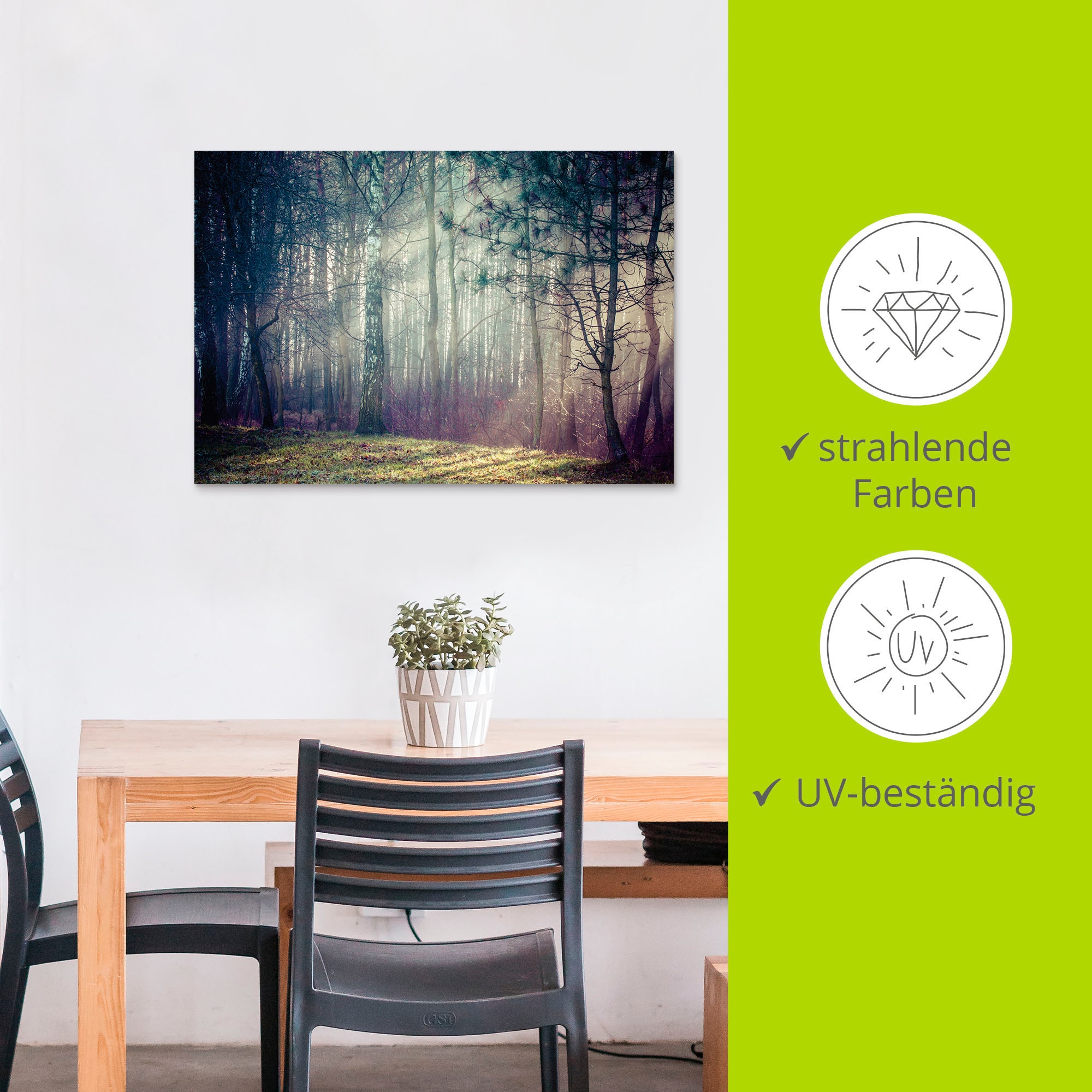 Artland Wandbild »Sonnenstrahlen im Wald«, Waldbilder, (1 St.), als Alubild, Outdoorbild, Leinwandbild in verschied. Größen