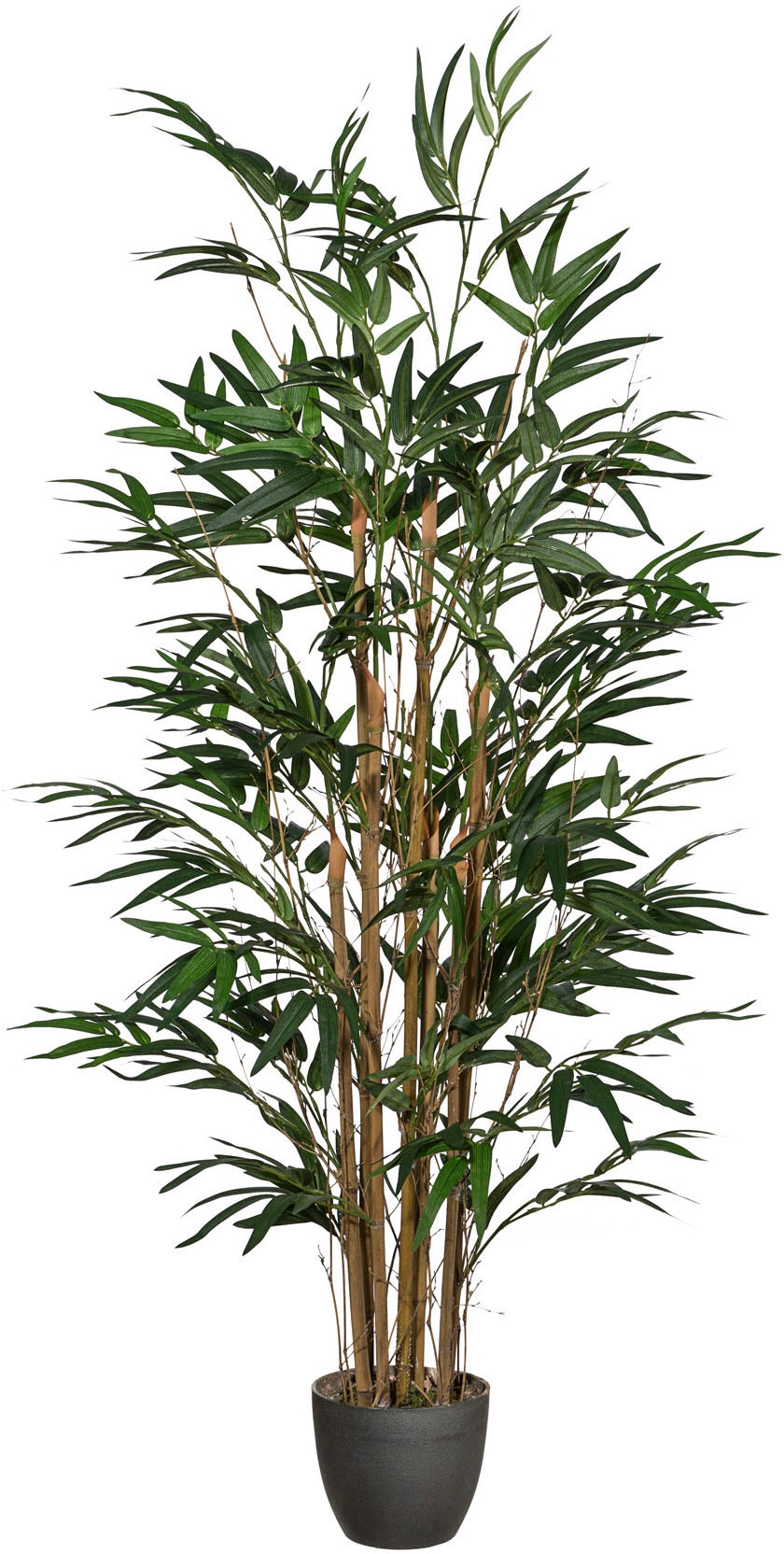 XXL Kunstpflanze green mit | Creativ Garantie Jahren 3 online kaufen »Bambus«
