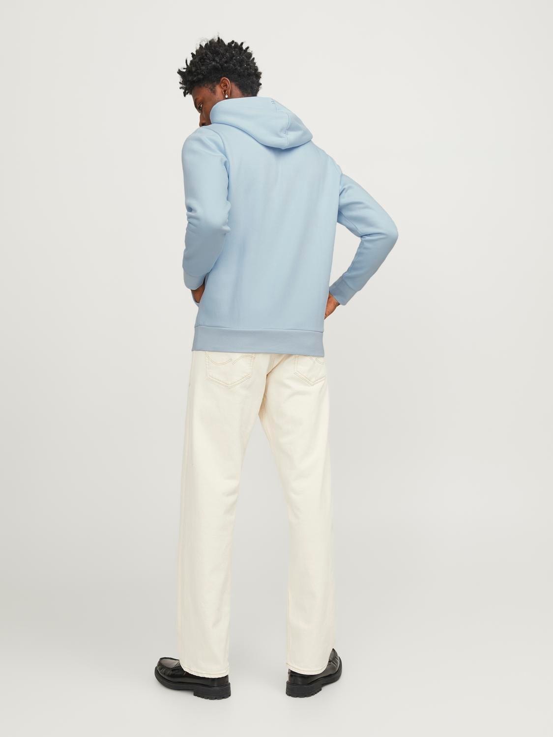 Jack & Jones Kapuzensweatshirt »JPRBLUARCHIE SWEAT HOOD NOOS«