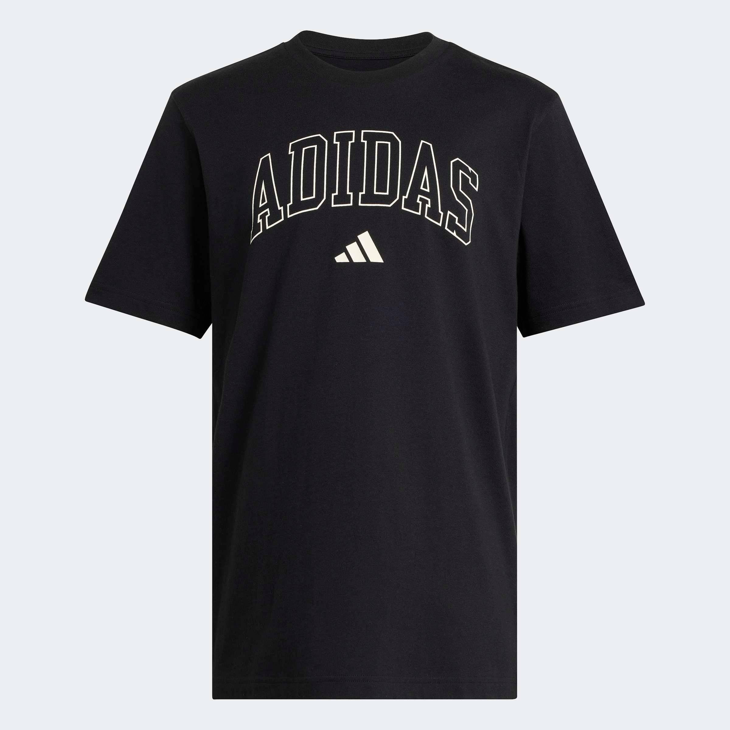 adidas Sportswear T-Shirt »COLLEGIATE LINEAGE GRAFIK«
