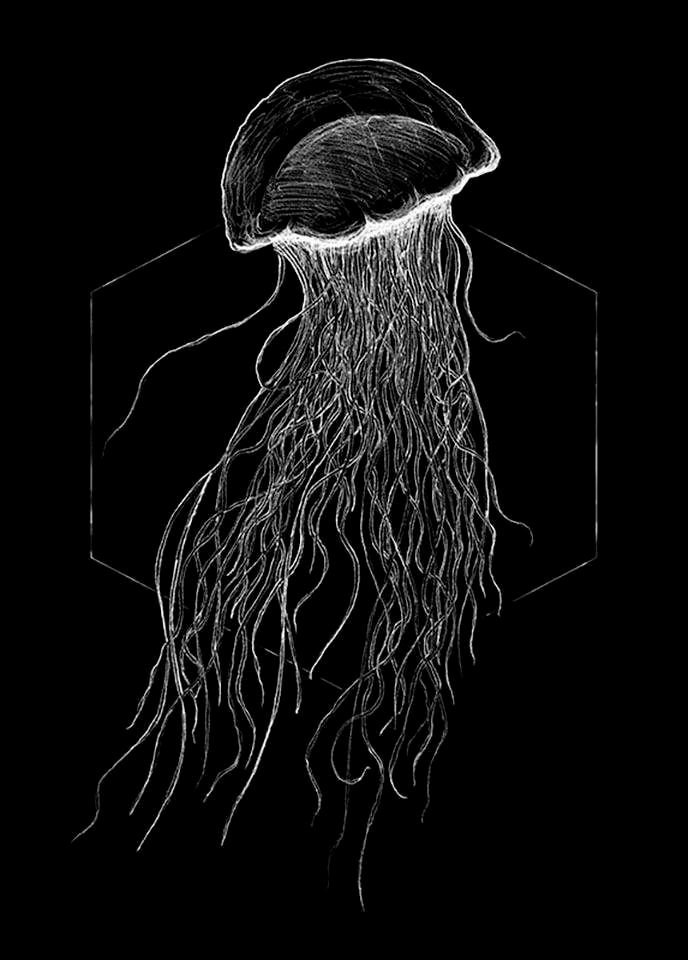 Komar Bild »Jellyfish Black« Tiere 1 Stk. tlg. Wandbild zur Dekoration - ohne Rahmen