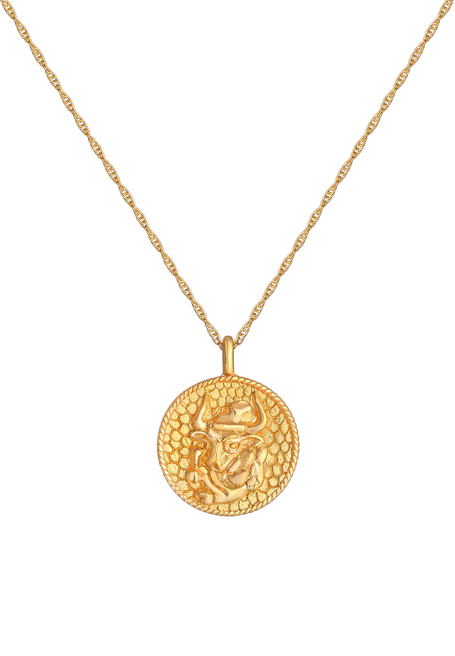 Elli Kette mit Anhänger »Halskette Sternzeichen Stier Zodiac Astro Münze 925 Silber«