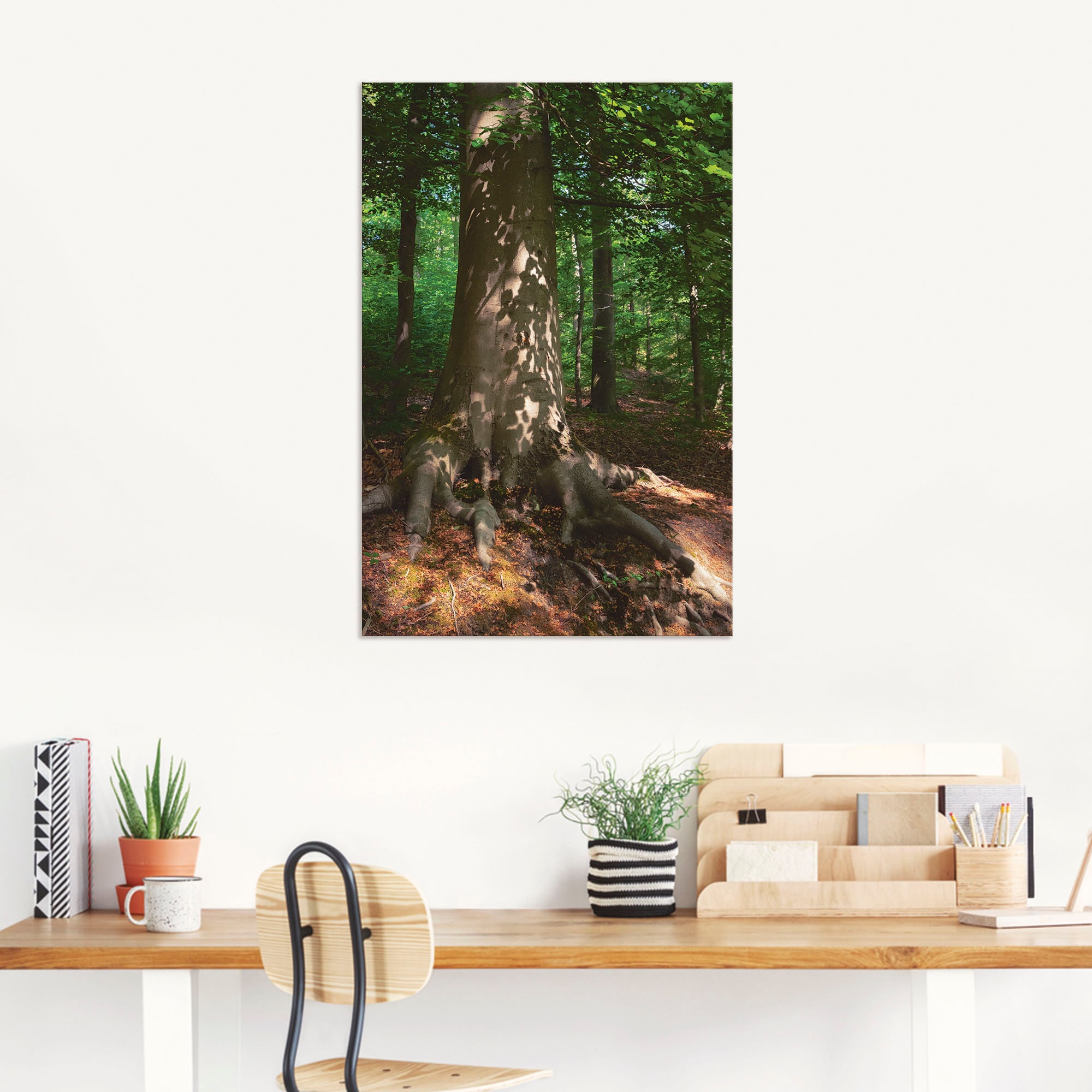 Artland Wandbild »Waldimpression«, Baumbilder, (1 St.), als Alubild,  Leinwandbild, Wandaufkleber oder Poster in versch. Größen auf Rechnung  kaufen