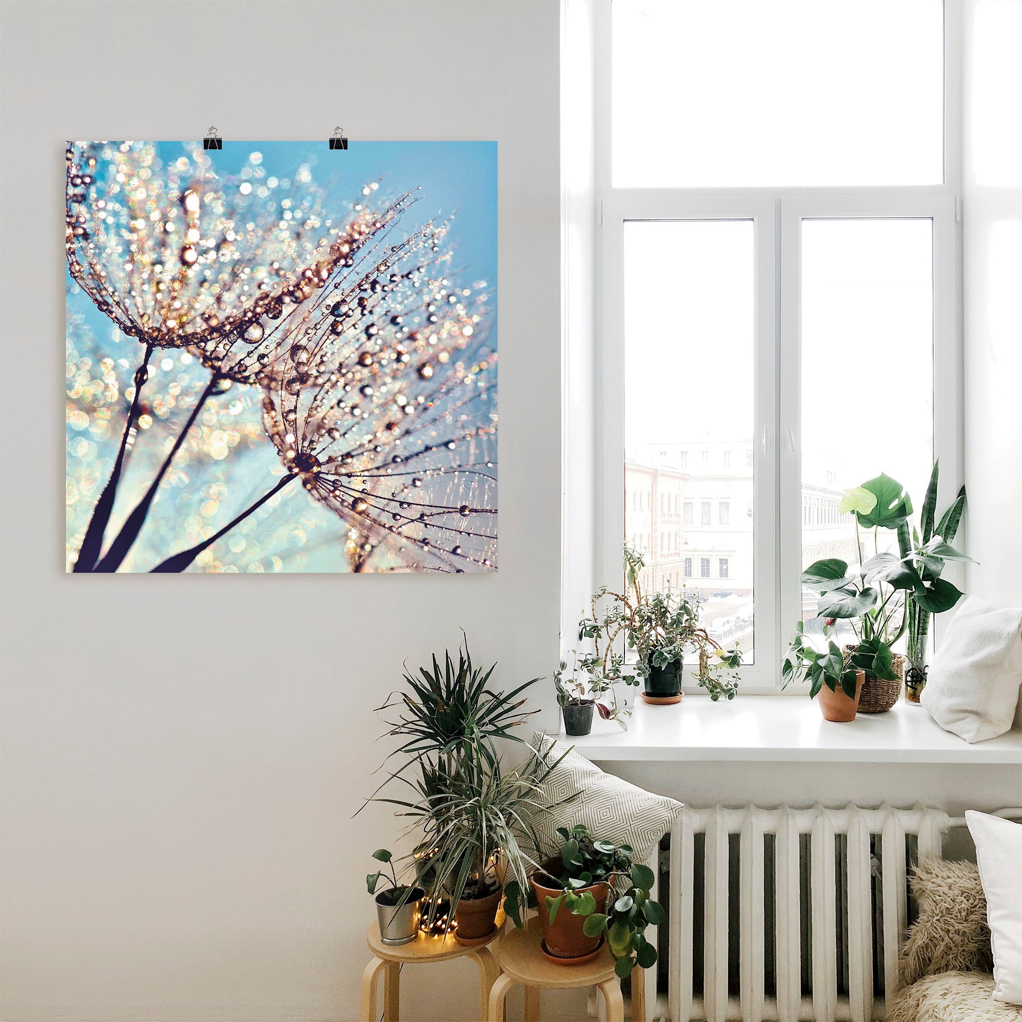 Artland Wandbild »Pusteblume Tröpfchenfänger«, Blumen, (1 St.), als Alubild, Outdoorbild, Leinwandbild, Poster in verschied. Größen