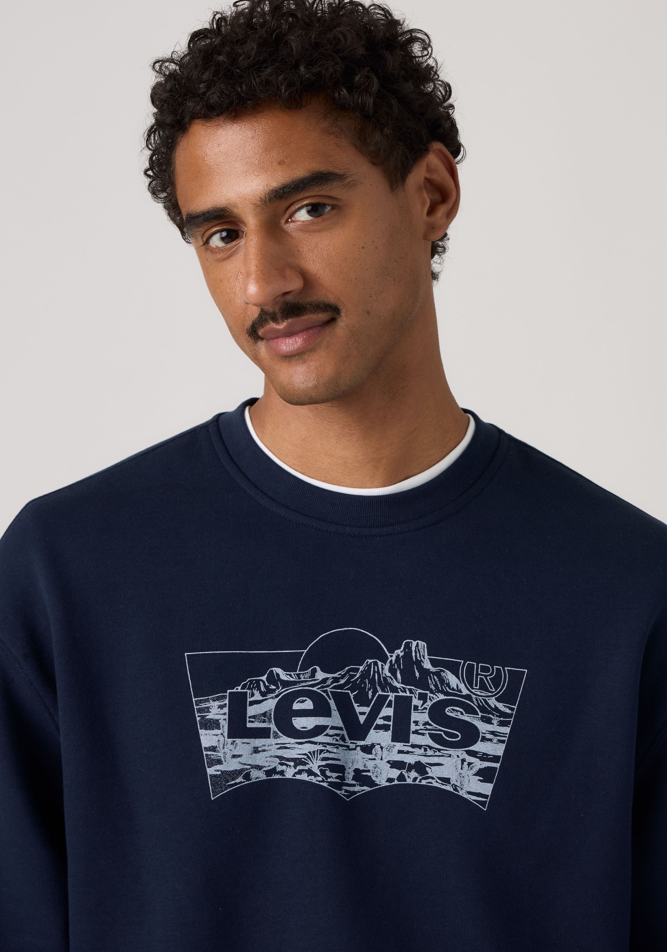 Levi's® Sweatshirt »RELAXD GRAPHIC CREW NEUTRALS«
