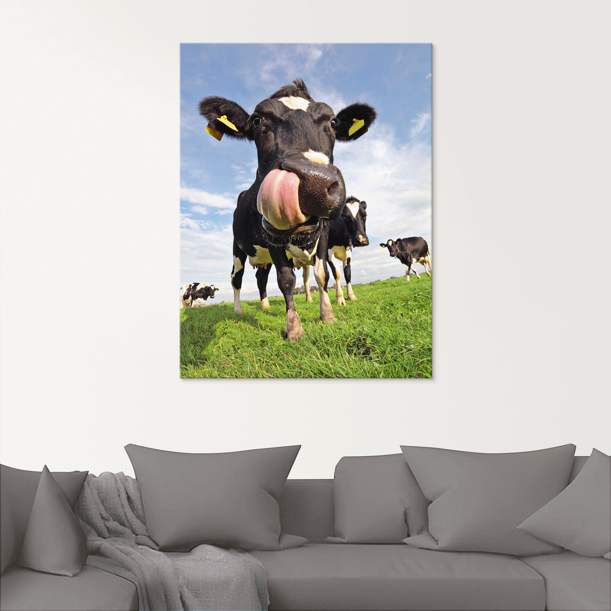 Artland Glasbild »Holstein-Kuh mit gewaltiger Zunge«, Haustiere, (1 St.), in verschiedenen Größen