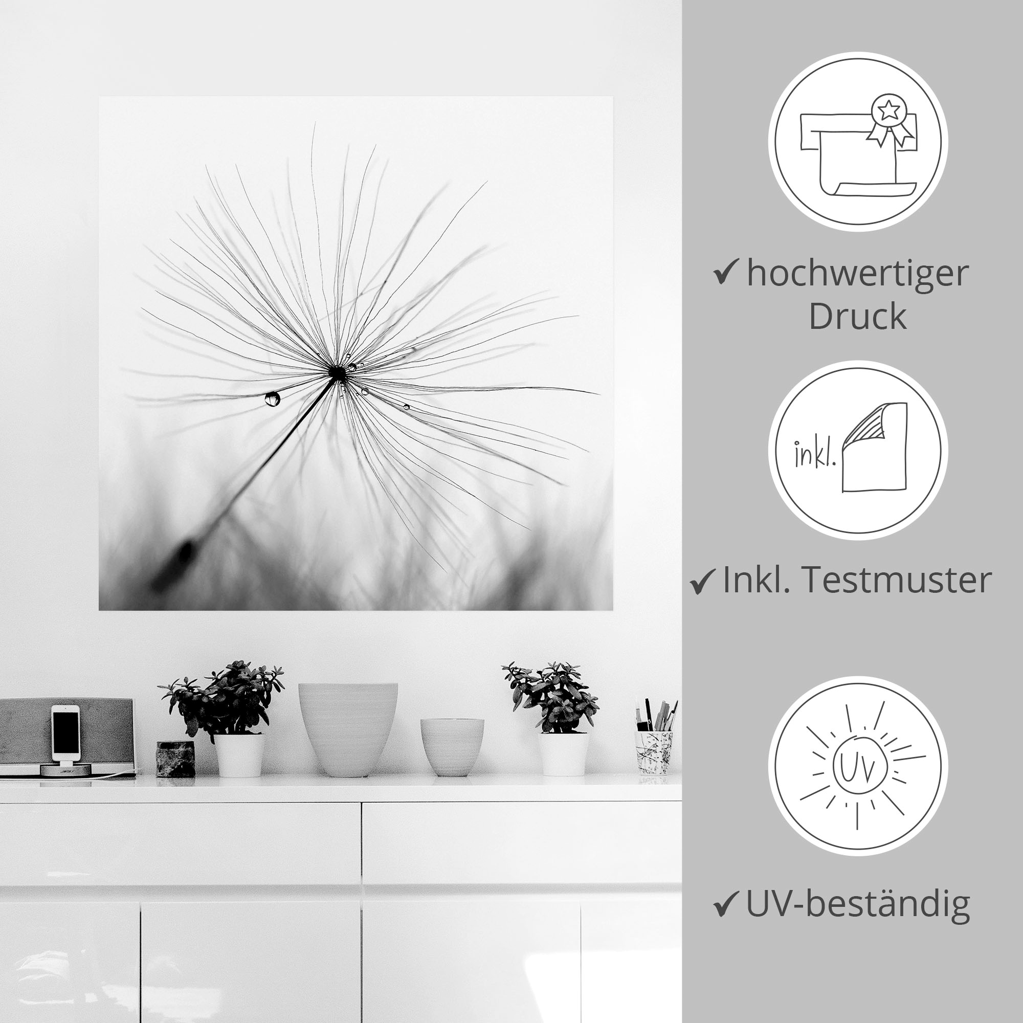 Artland Wandbild »Pusteblume Schirmchen«, Blumen, (1 St.), als Alubild, Outdoorbild, Leinwandbild, Poster, Wandaufkleber