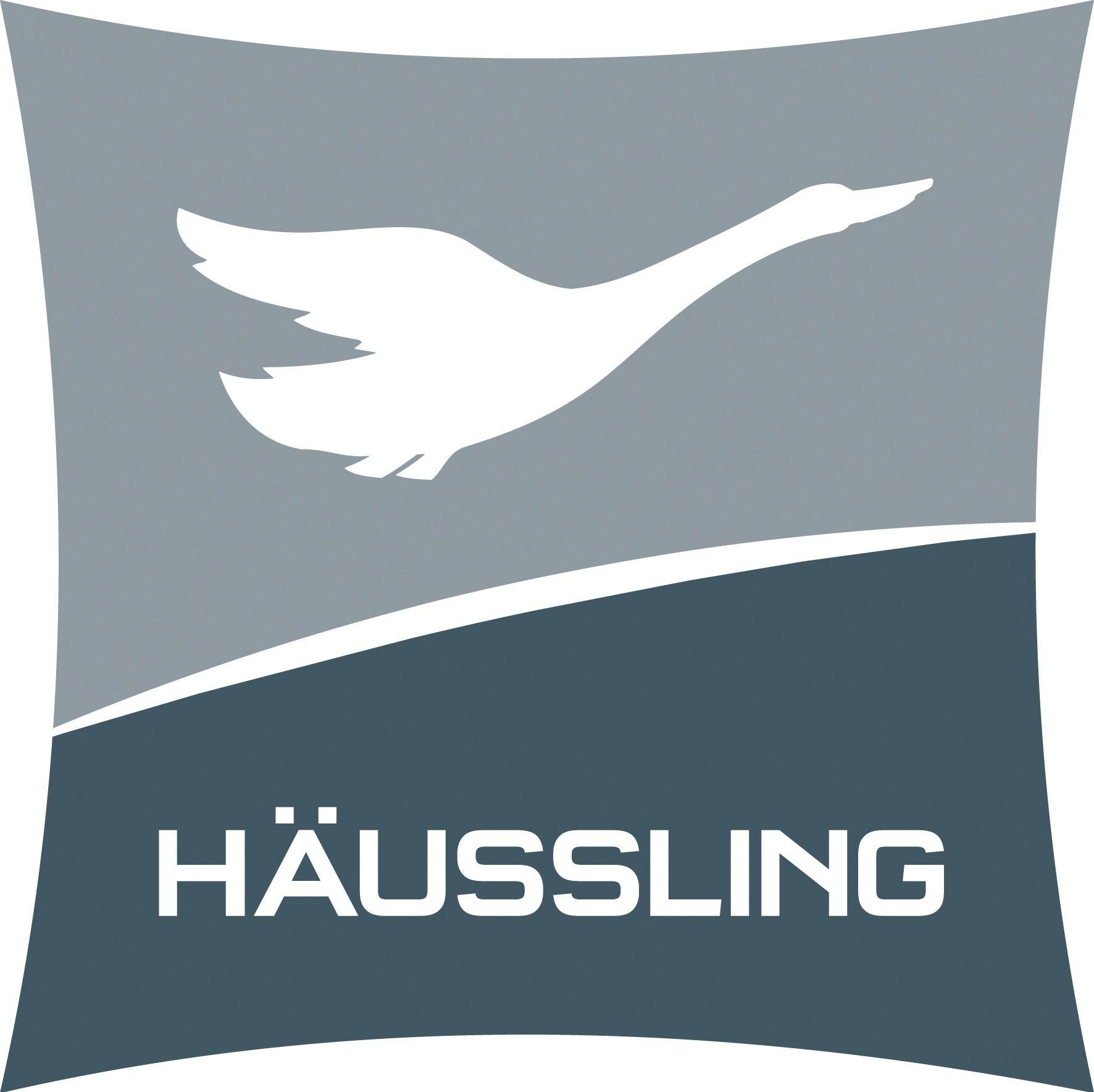 Haeussling Daunenbettdecke »Moschus Royal«, warm, Füllung 100 % Daunen, Bezug 100 % Baumwolle, (1 St.), Wärmeklasse: warm