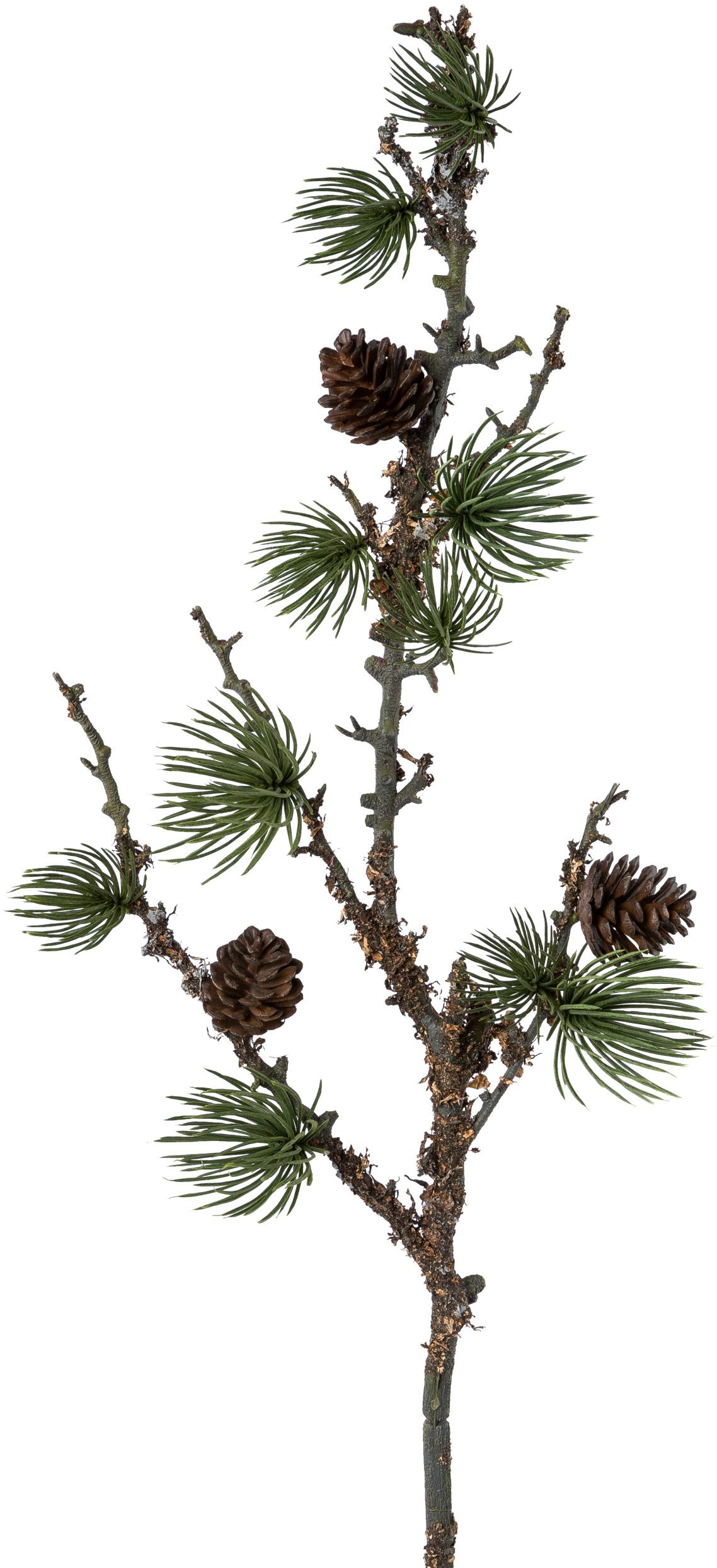 Creativ green Winterliche Kunstpflanze »Weihnachtsdeko«, Zweig mit Zapfen  und Flechten, 3er-set bequem bestellen