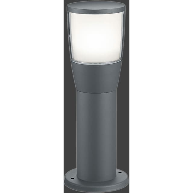 TRIO Leuchten LED Sockelleuchte »SHANNON«, 1 flammig-flammig online kaufen  | mit 3 Jahren XXL Garantie