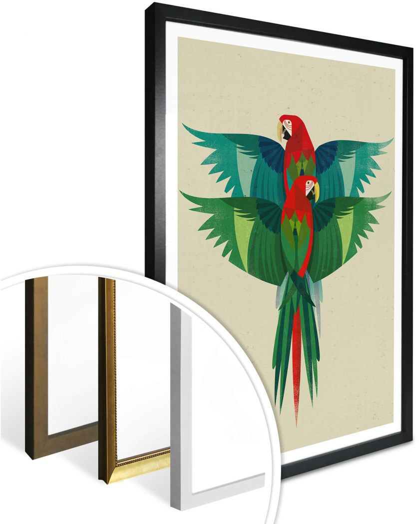 (1 Papageien, Poster, Wall-Art Wandposter »Ara«, Poster bestellen Wandbild, Bild, Raten auf St.),