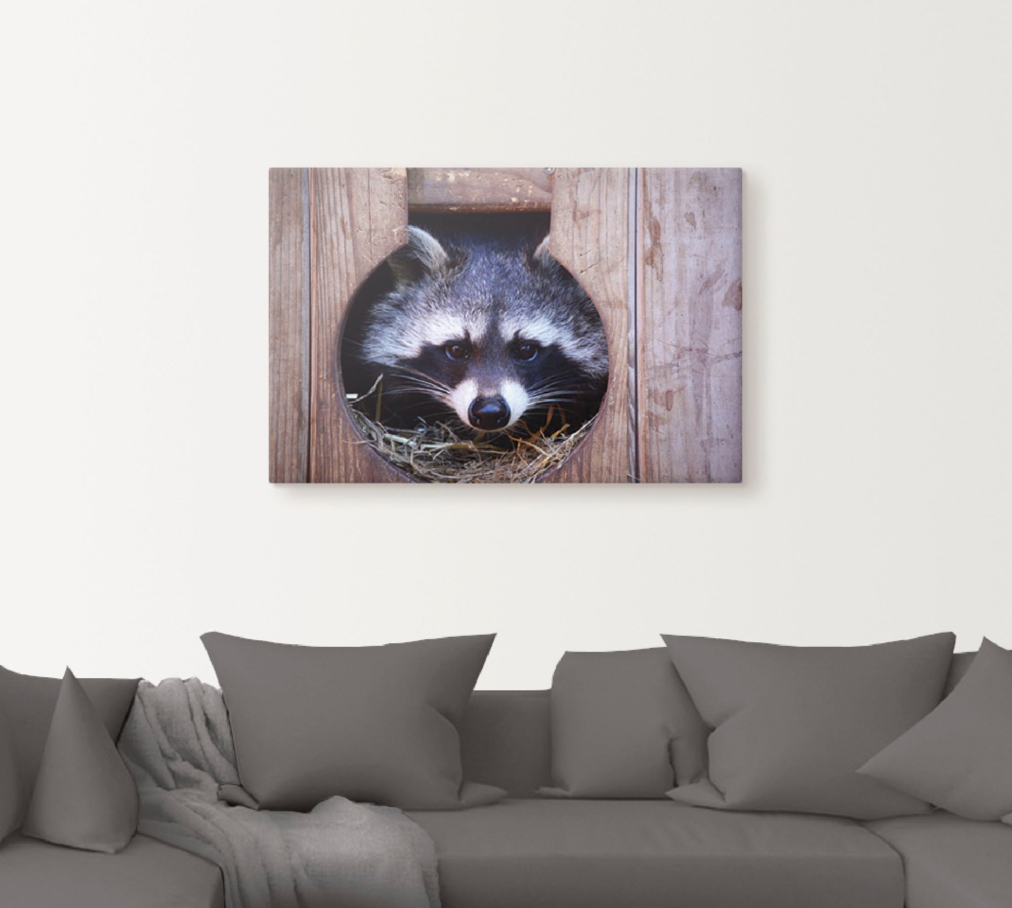 Artland Wandbild »Niedlicher kleiner Waschbär«, Wildtiere, (1 St.), als Leinwandbild, Wandaufkleber in verschied. Größen