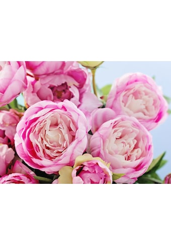 Papermoon Fototapete »Pink Peony Flowers« kaufen