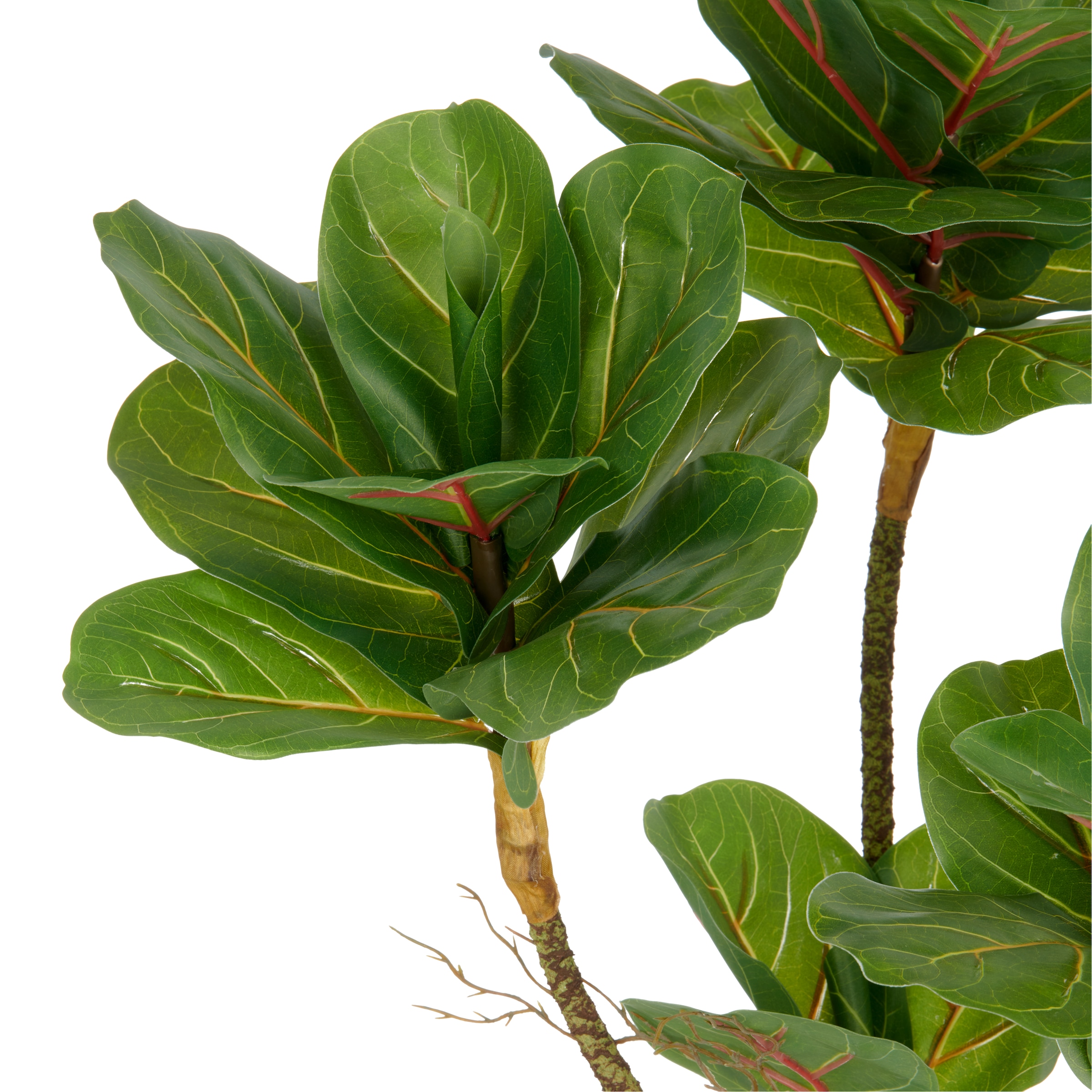 Creativ green Kunstpflanze »Ficus lyrata« mit Luftwurzeln