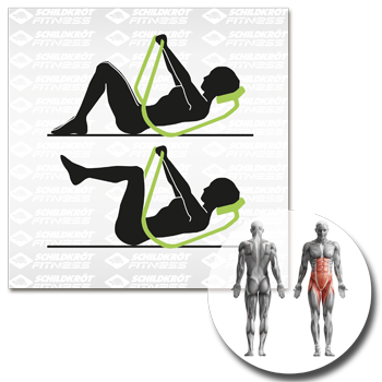 Schildkröt Bauchtrainer »AB Trainer Classic«