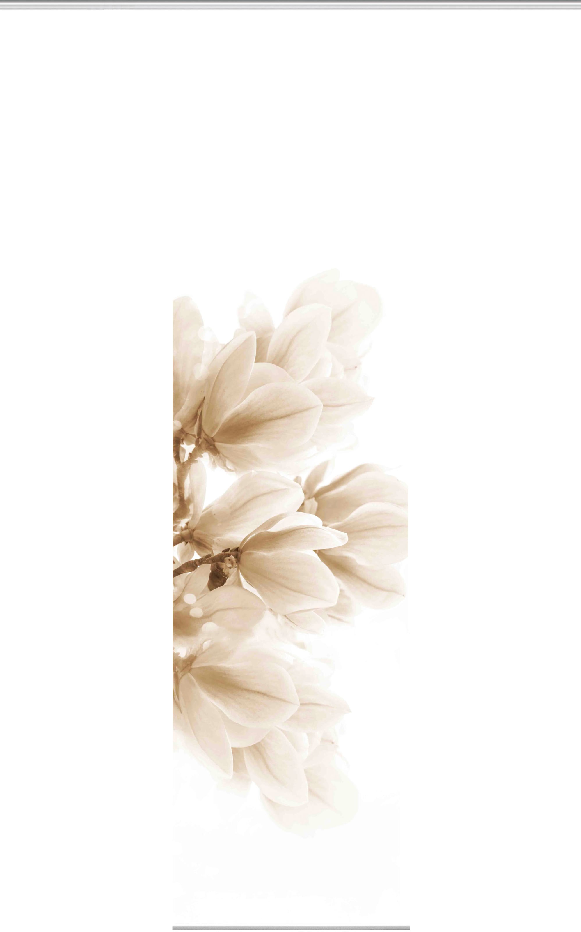 HOME WOHNIDEEN Schiebegardine »KESSI« Paneelwagen 1 Stk. tlg. Schiebegardine KESSI digitalbedruckt