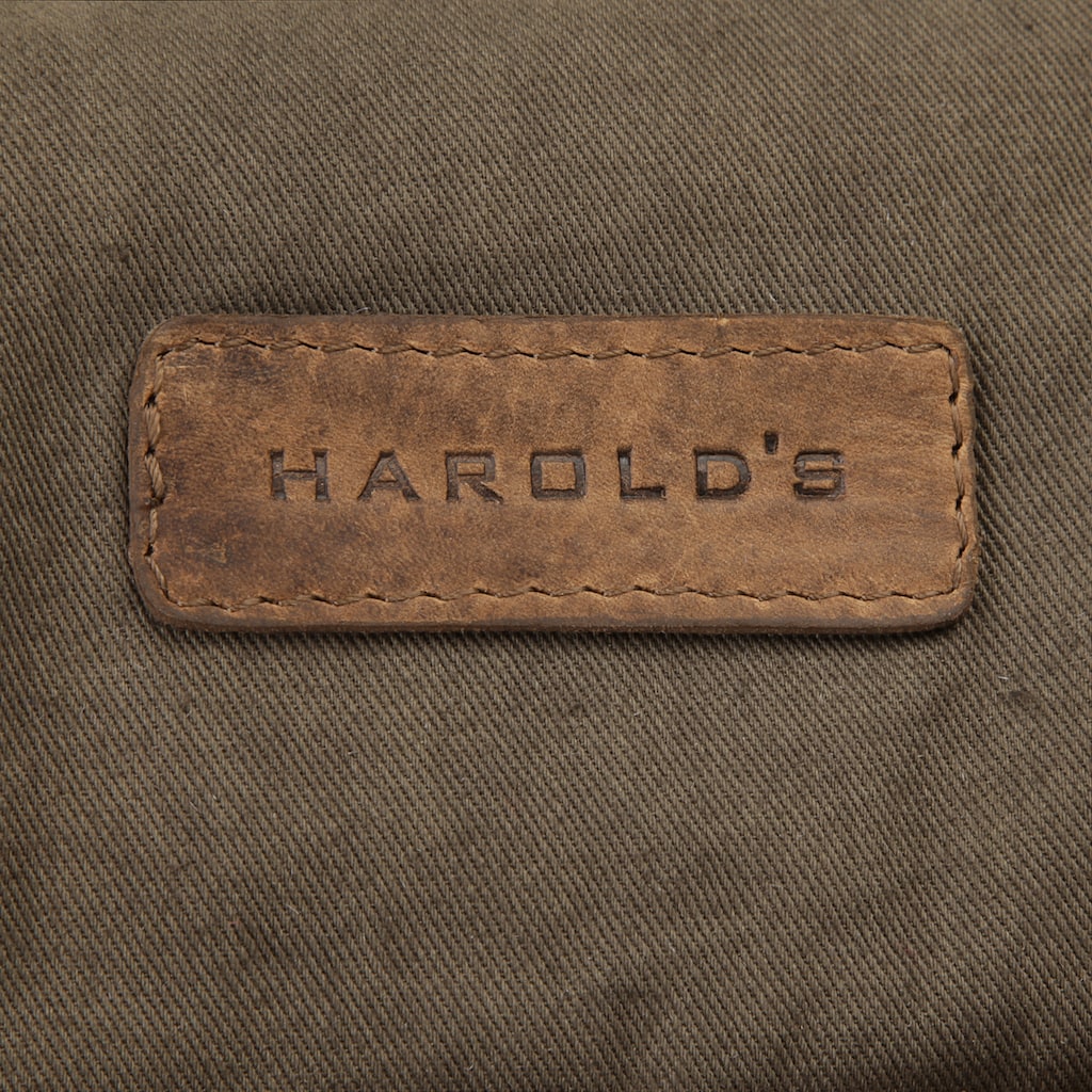 Harold's Messenger Bag »ANTIC«