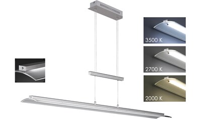 FISCHER & HONSEL LED Pendelleuchte »Roof«, LED-Modul, Warmweiß-Neutralweiß kaufen