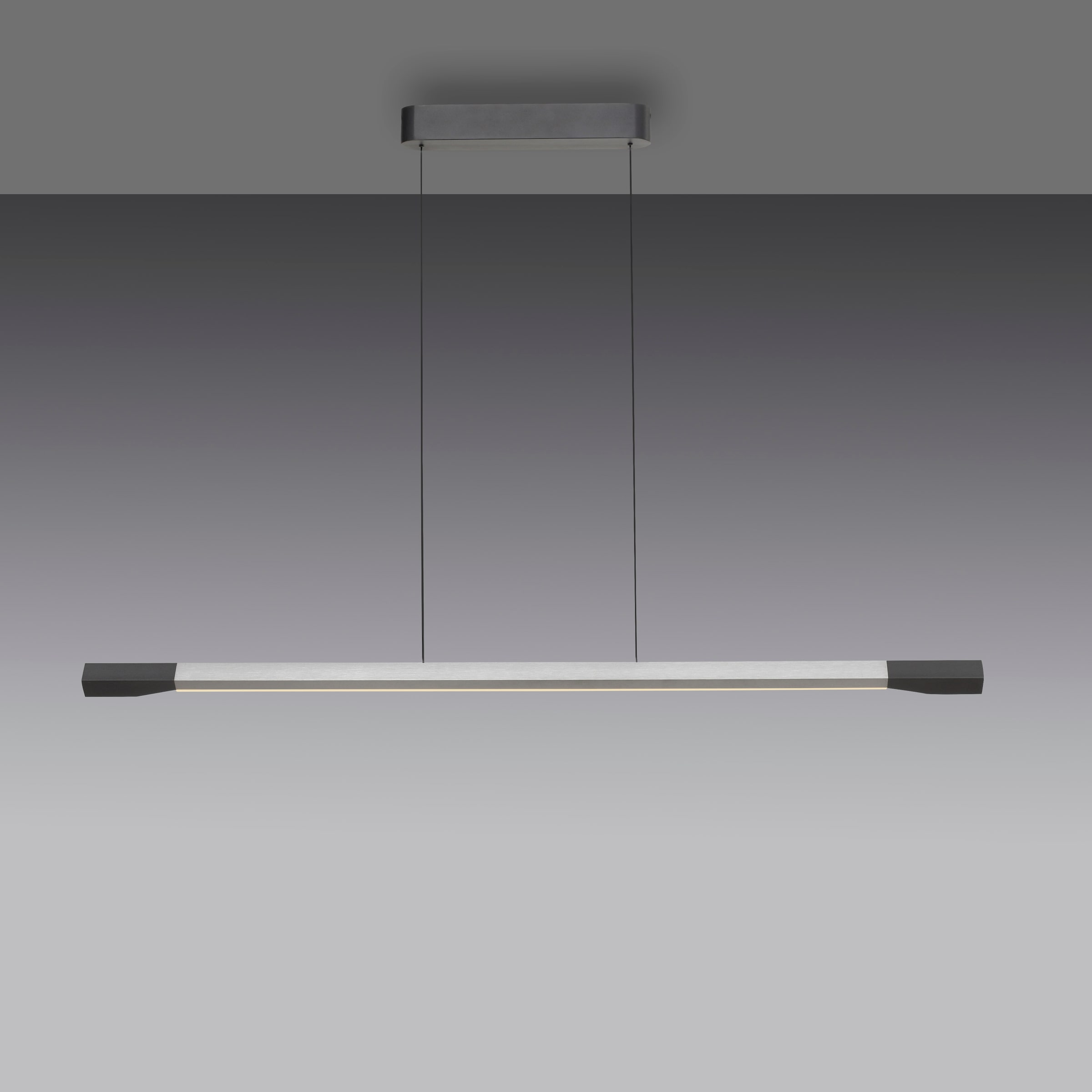 Paul Neuhaus Pendelleuchte »HOOP«, 1 flammig, Leuchtmittel LED-Board | LED fest integriert, LED, dimmbar, Simply Dim, Memory, nach Trennung vom Netz, Comfort Lift