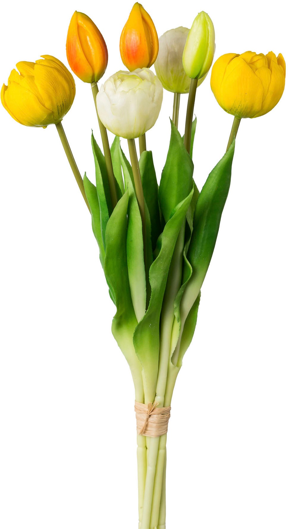 my home Kunsttulpe »Gefüllte Tulpen«