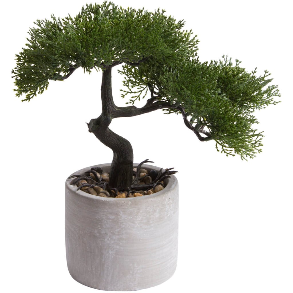 Botanic-Haus Kunstbonsai »Ceder Bonsai«