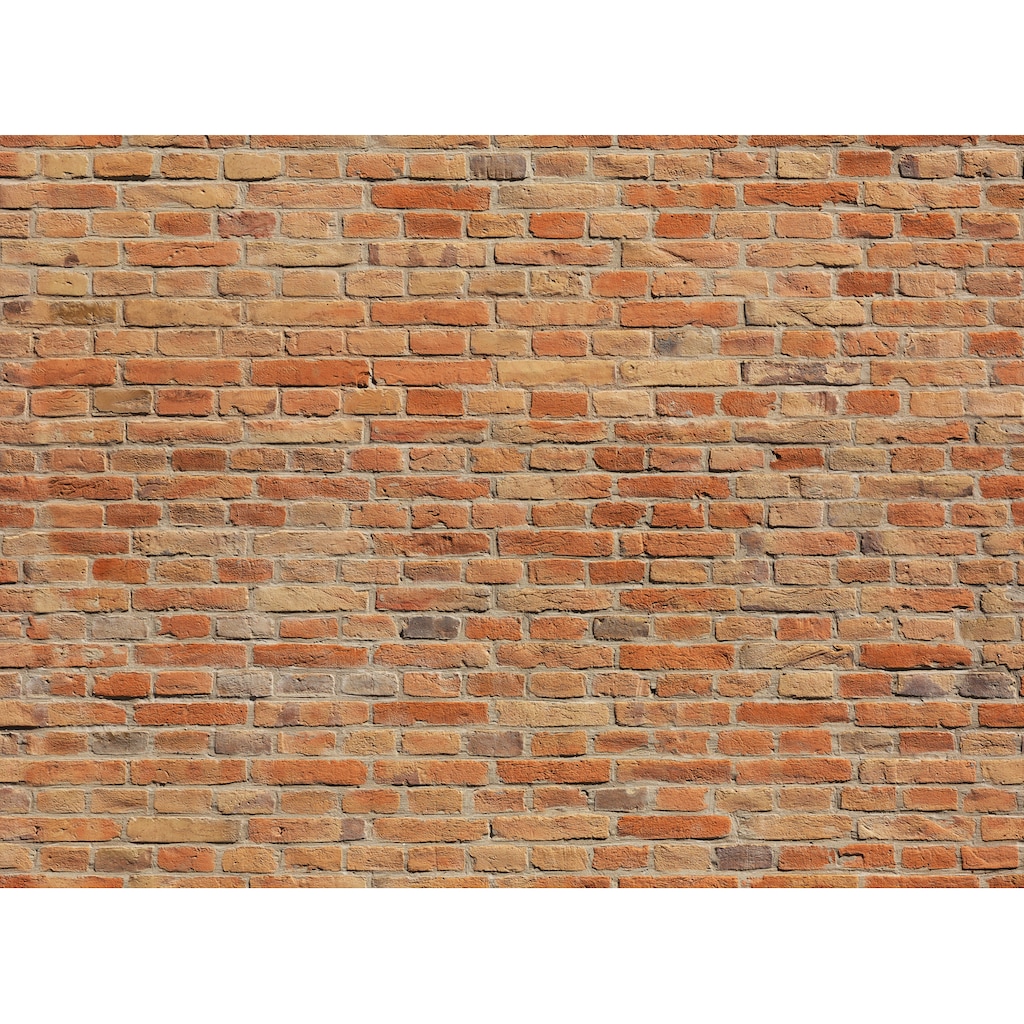 Papermoon Fototapete »Brickwall«