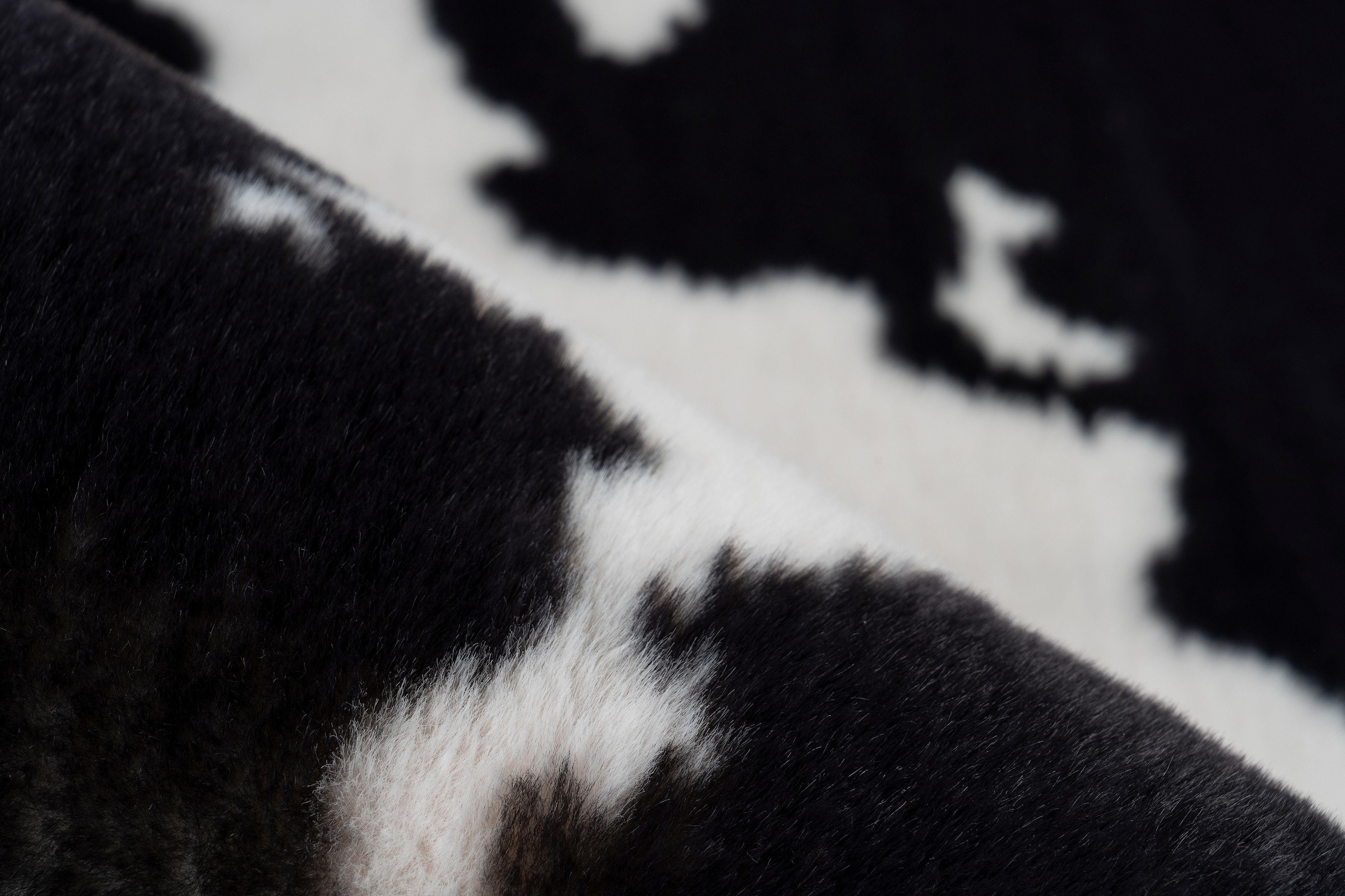 calo-deluxe Hochflor-Teppich »Vogesen 500«, rechteckig, 30 mm Höhe, weiche Haptik, Wohnzimmer