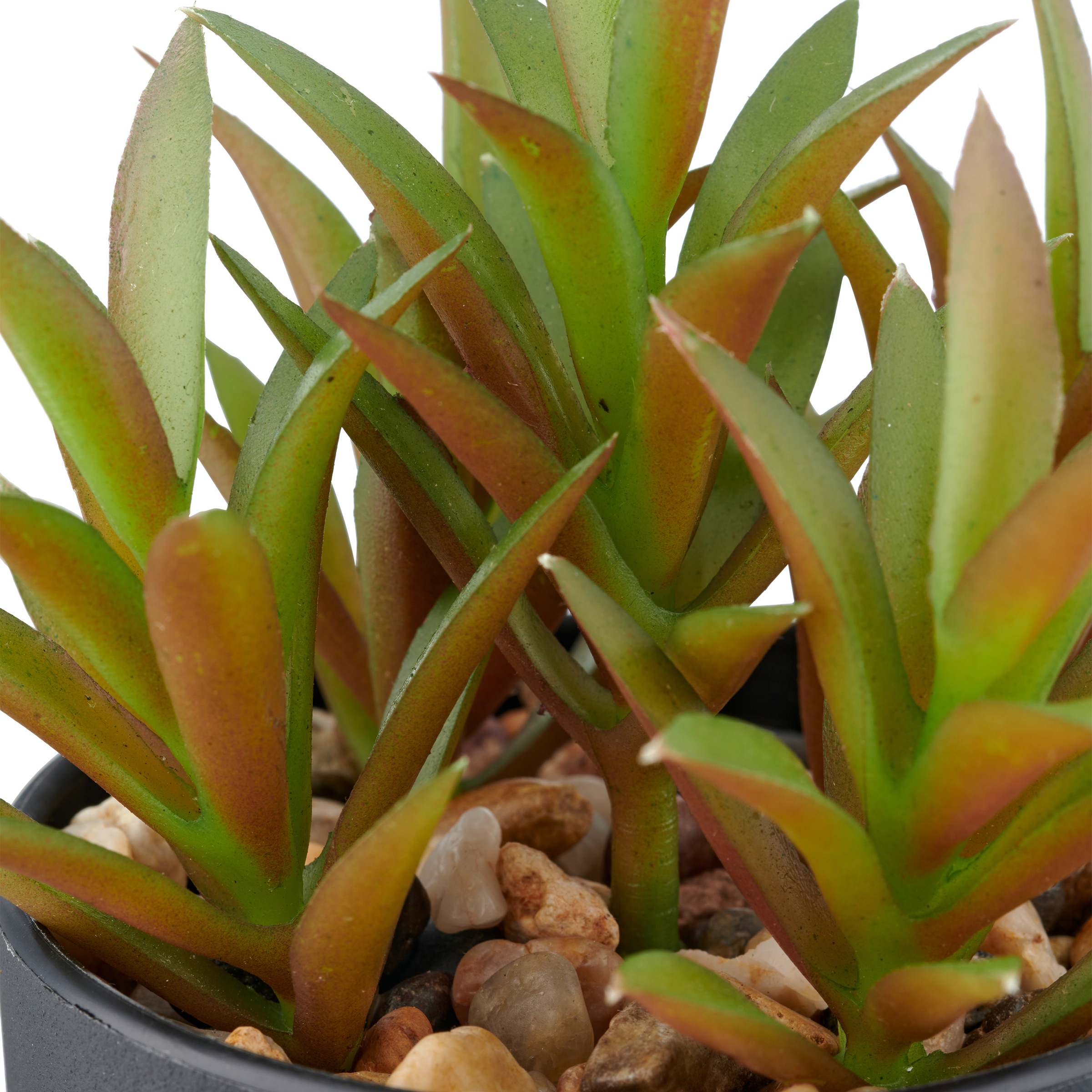 Creativ green Kunstpflanze »Sukkulenten« mit dekorativem Kies