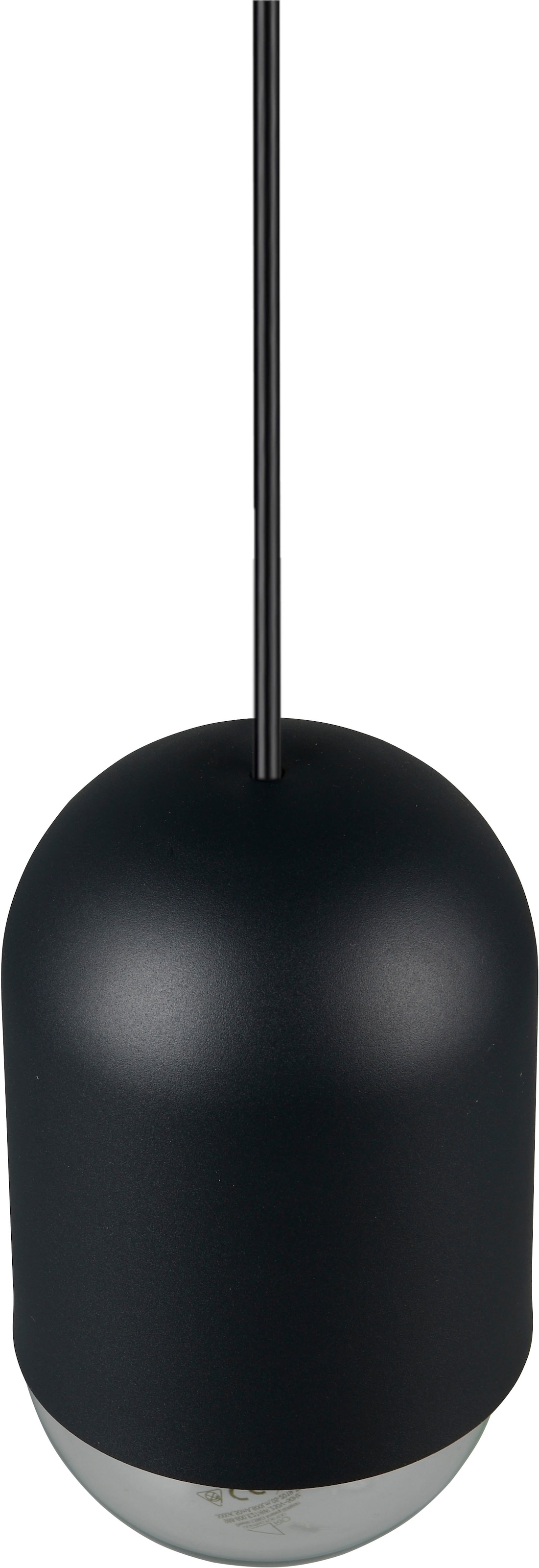 REALITY Leuchten Pendelleuchte »NARA, Hängelampe inkl. Leuchtmittel 1x E27 806 Lumen 2700K warmweiß« E27 2 Stk. Warmweiß Hängeleuchte in schlichtem Design Ø 11cm, Leuchtmittel wechselbar