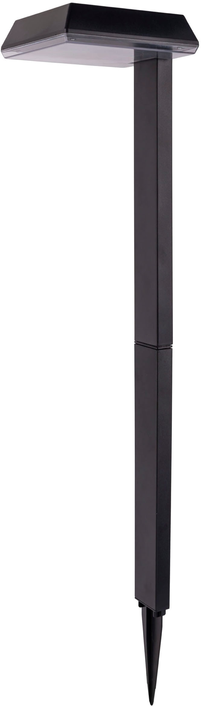 näve LED Solarleuchte »Sigi« LED-Modul 1 Stk. Warmweiß Dekoerdspieß, H: 79cm, Dämmerungssensor, schwarz, LED warmweiß