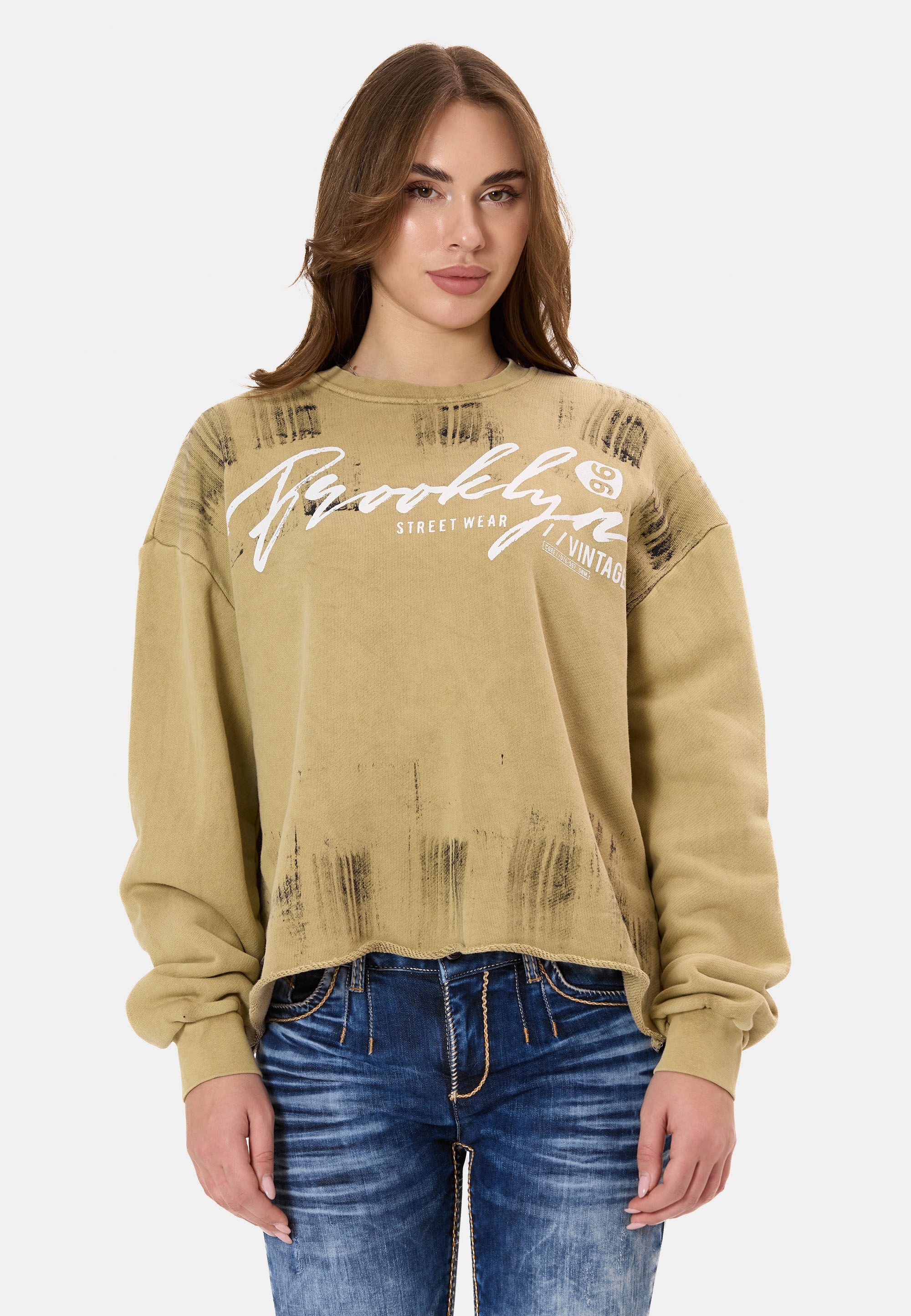 Cipo & Baxx Sweatshirt »WL375«, mit Brush-Muster

