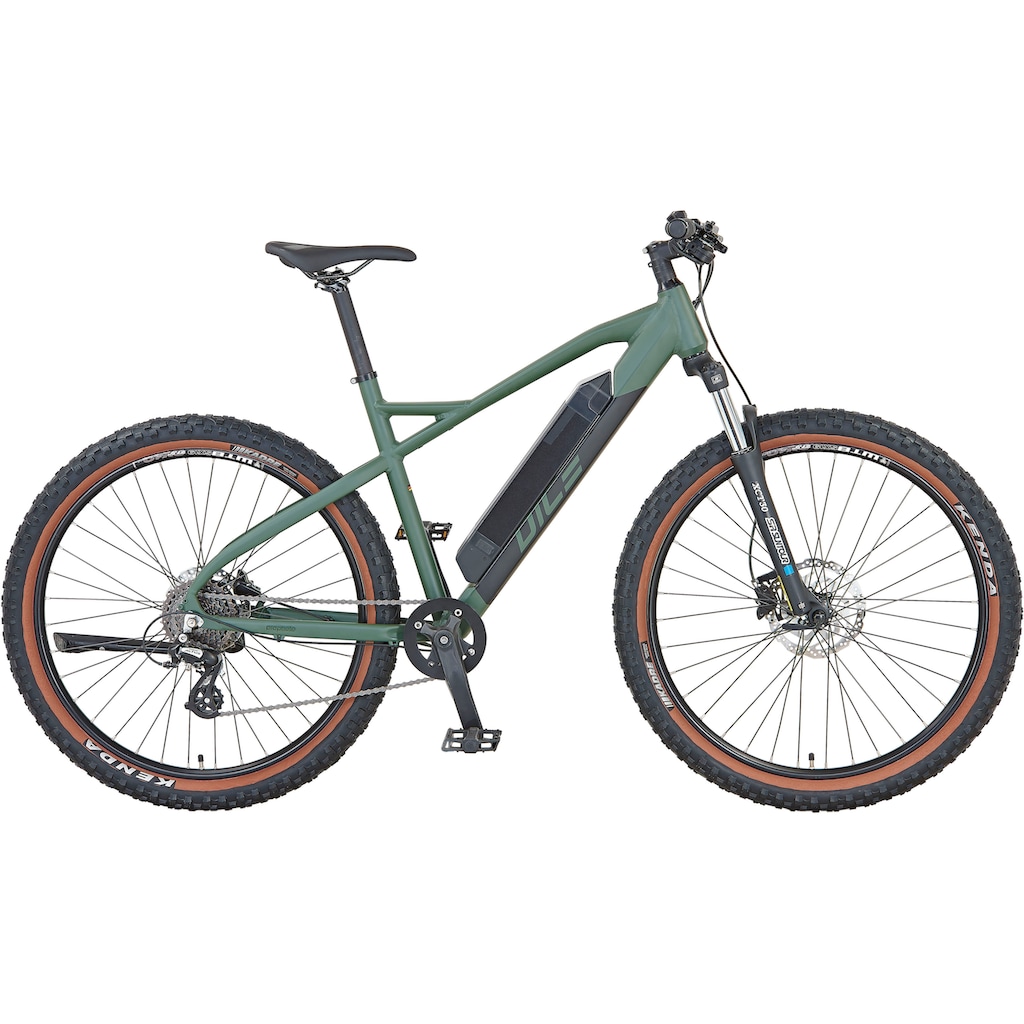 Prophete E-Bike »DICE 1.0«, 8 Gang, Shimano, Altus, Heckmotor 250 W