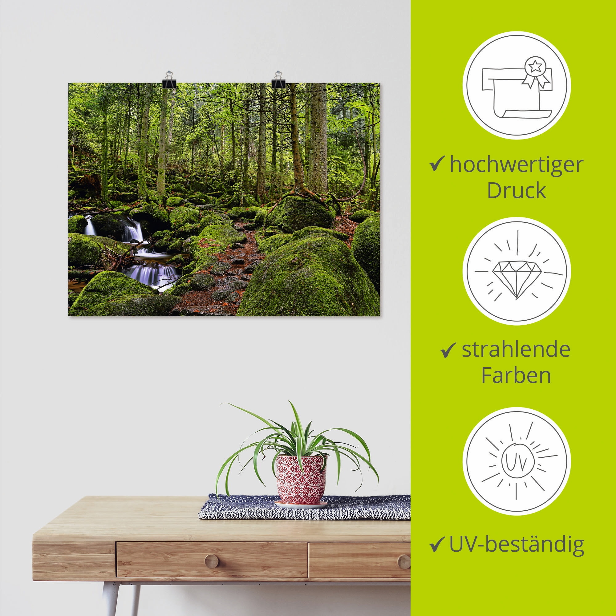 Artland Wandbild »Zauberwald«, Wald, (1 St.), als Leinwandbild, Poster in verschied. Größen