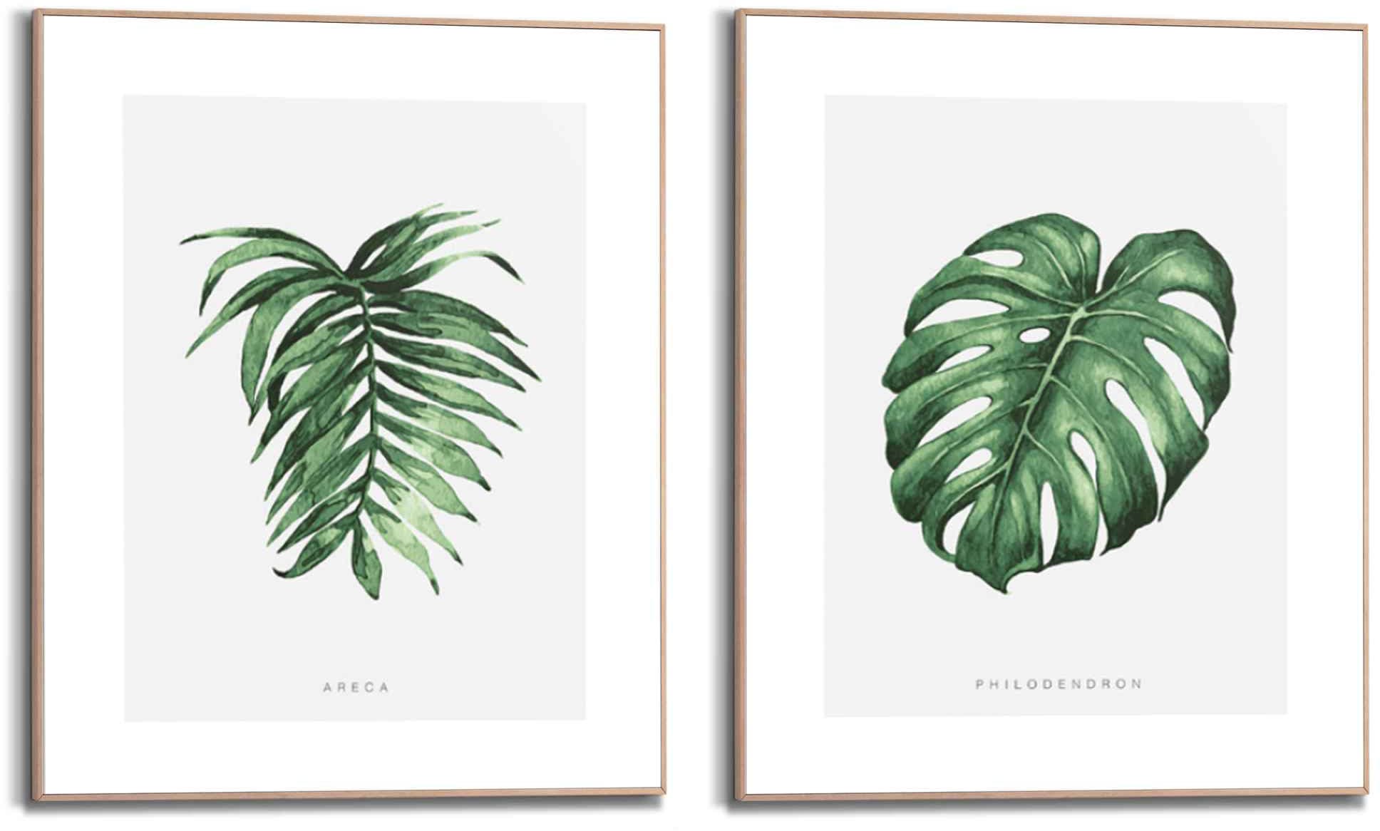 Set Wandbild Naturmotiv Philodendron - auf Areca bestellen Pflanze St.) - »Wandbilder Natur, Reinders! Rechnung (2 - Palme«,