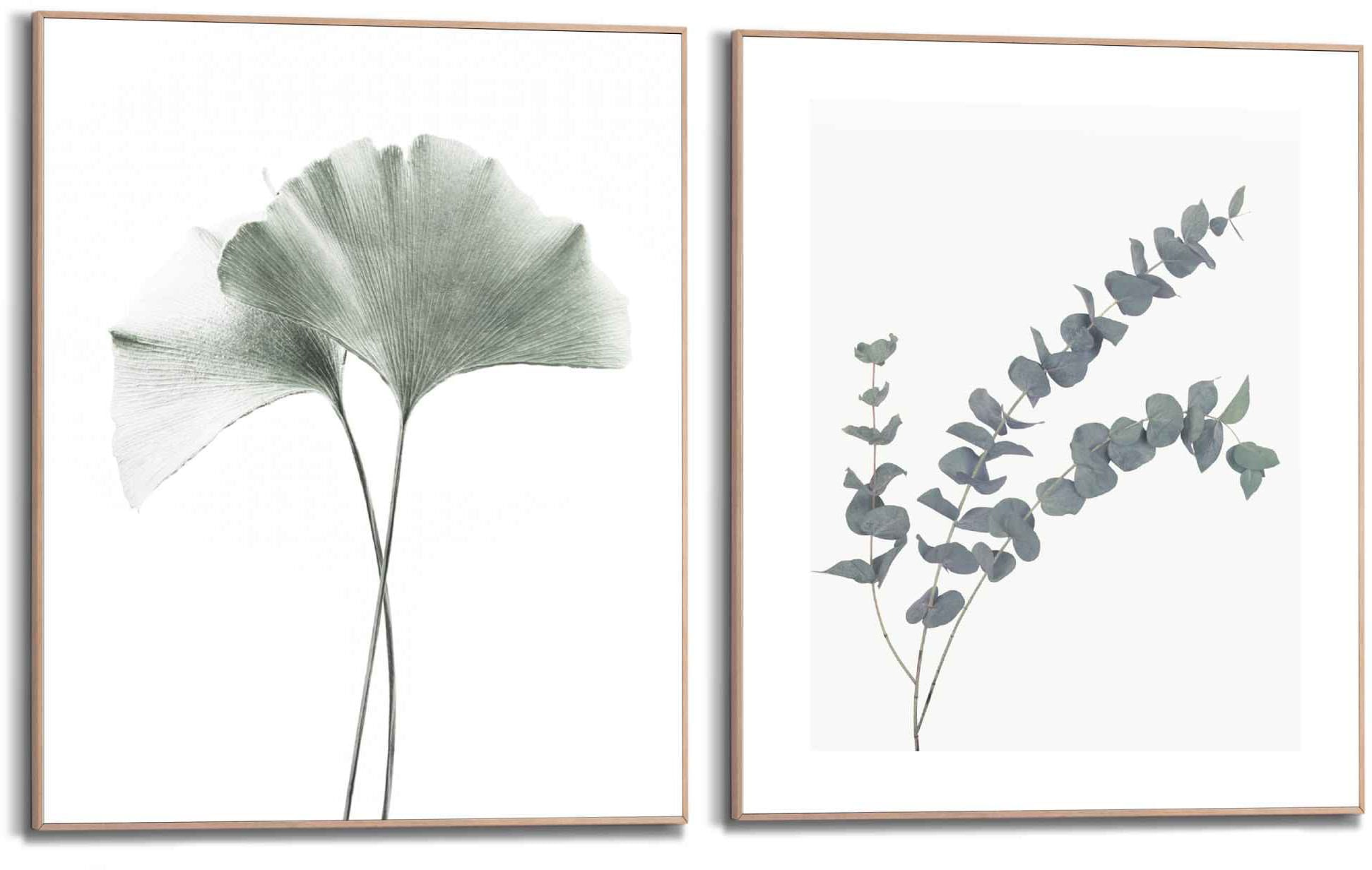 blatt Pflanze«, bestellen - Ginko auf »Eukalyptus Bild St.), Naturmotiv Botanisch (2 mit Blätter, - Raten Reinders! Rahmen