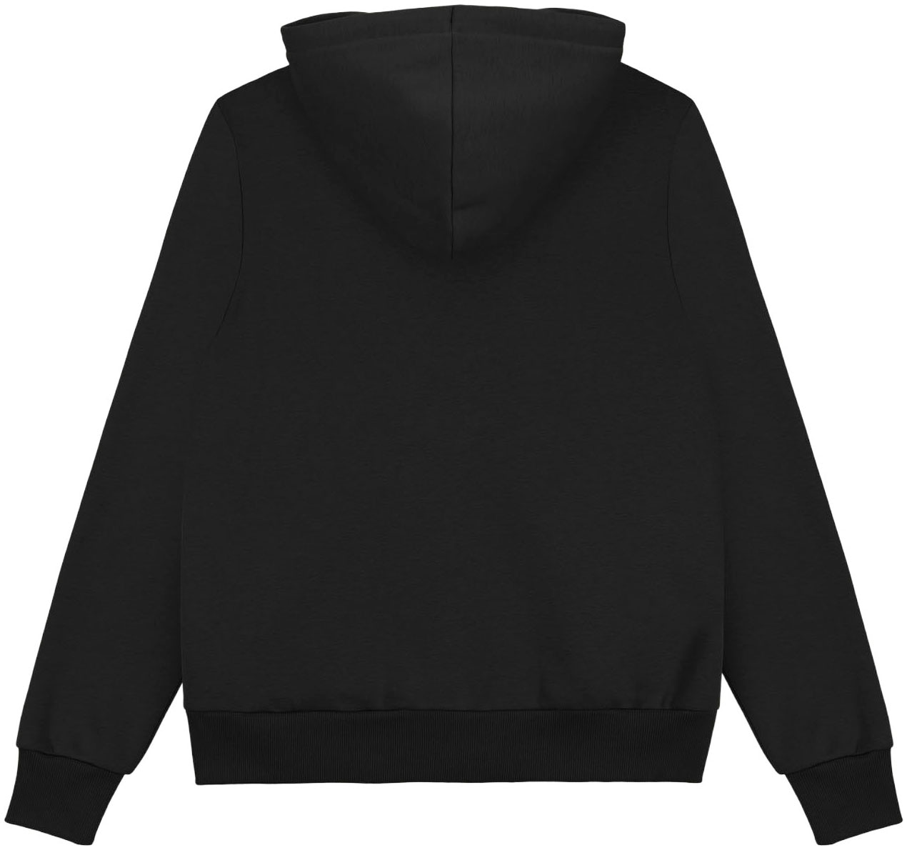 Colmar Sweatjacke »MENS SWEATSHIRT« regular fit, mit Kapuze